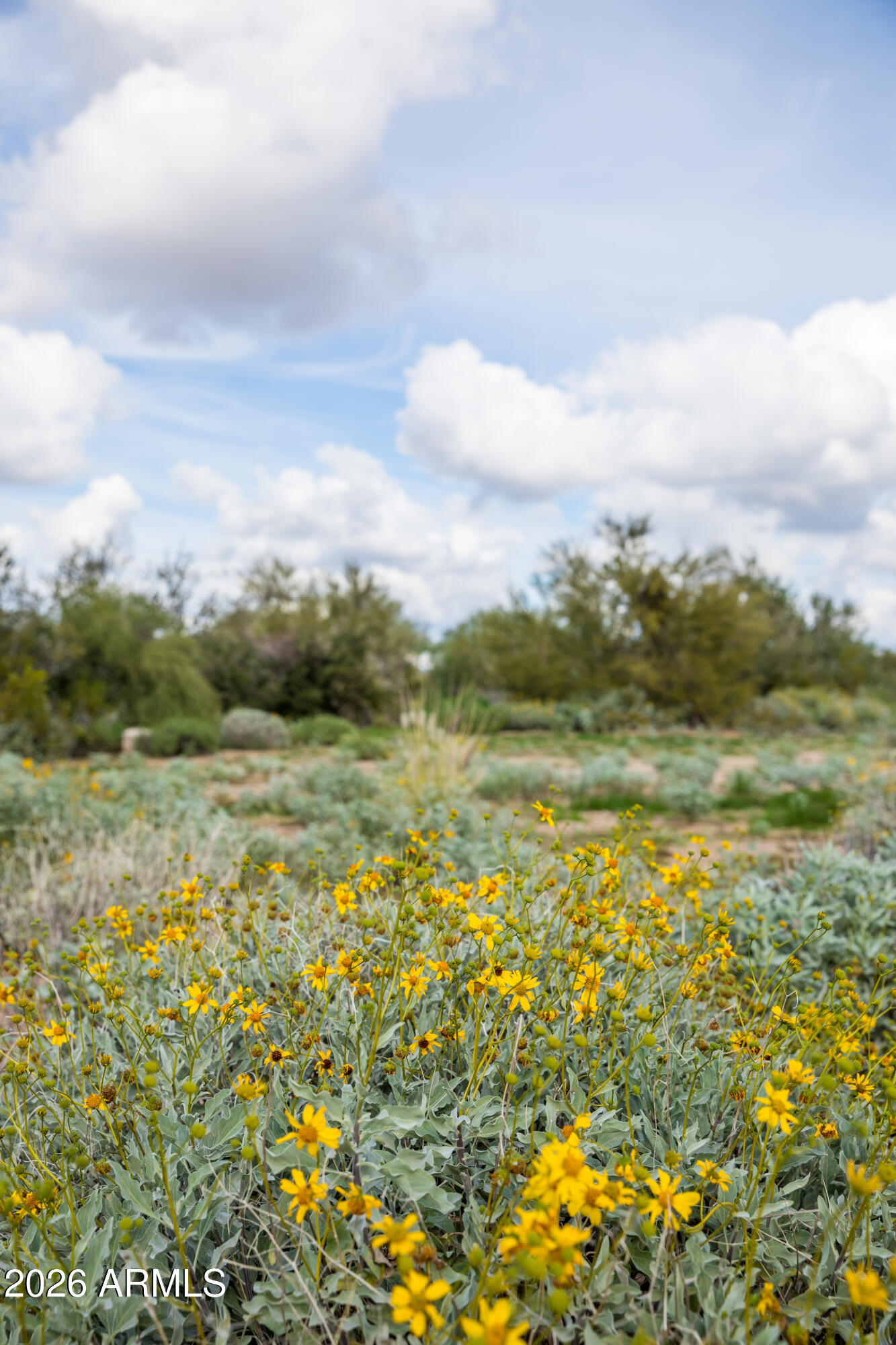 6382 E CALLE DE MANDEL Drive '-'