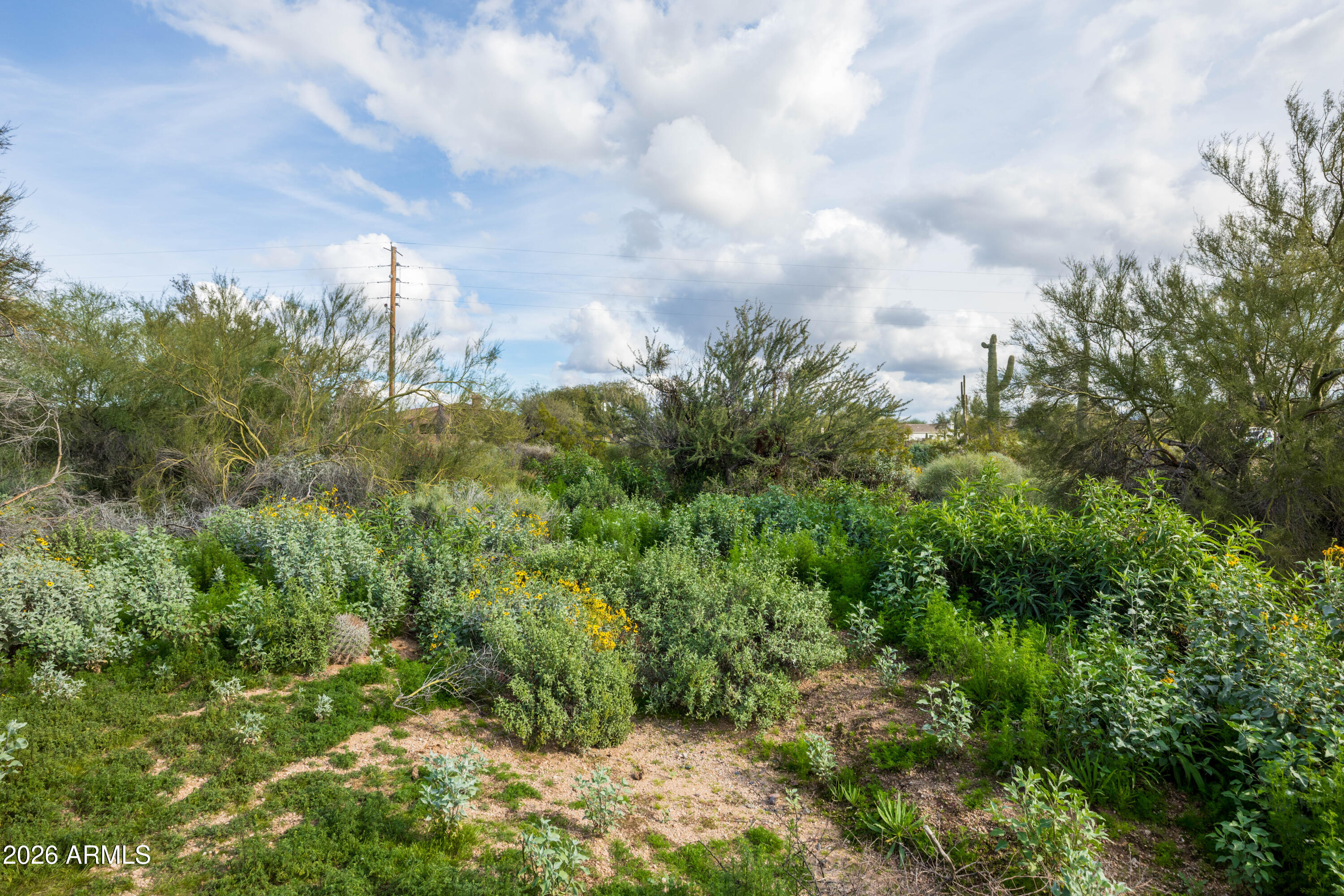 6382 E CALLE DE MANDEL Drive '-'