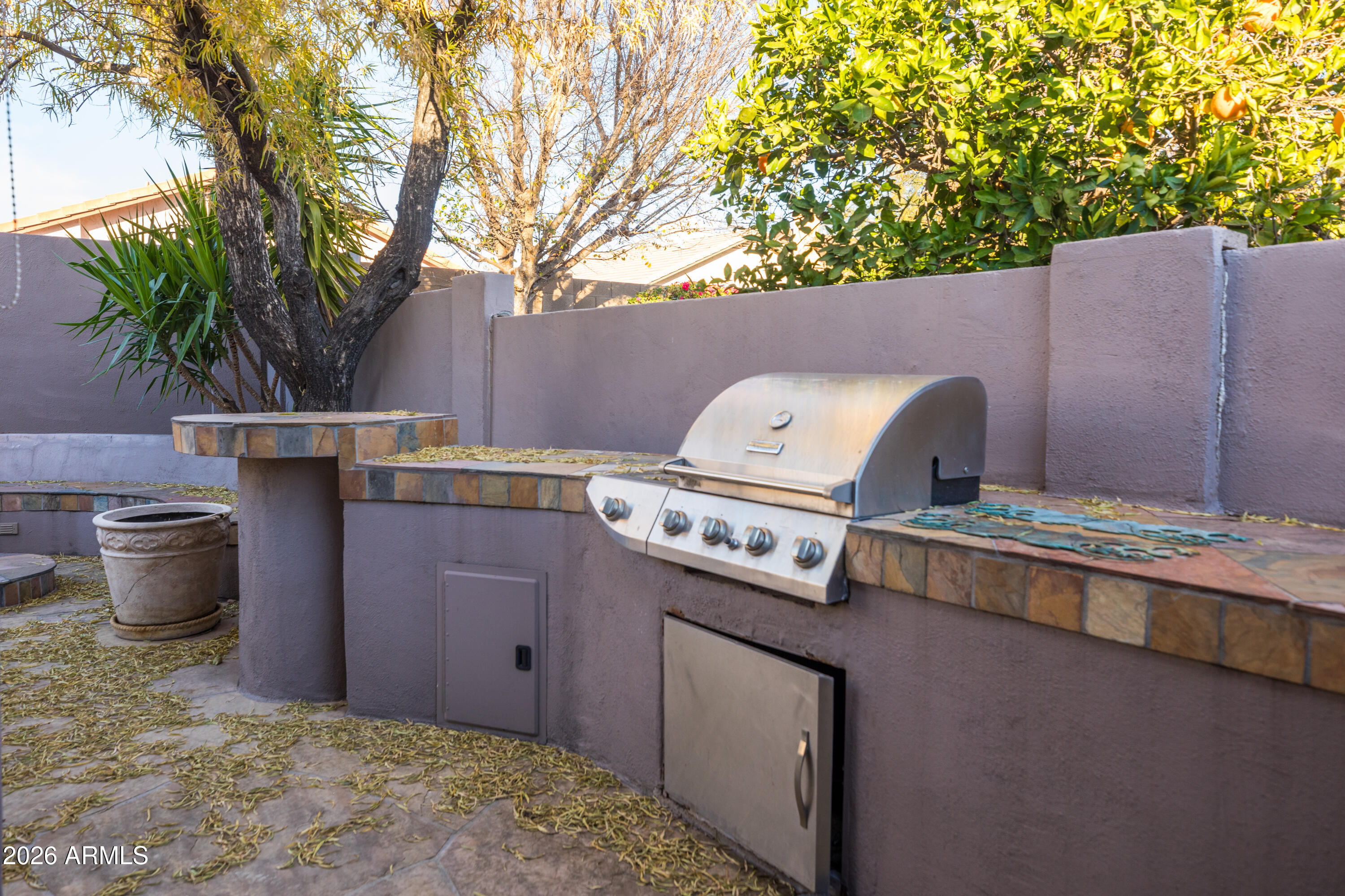 4506 E LONE CACTUS Drive