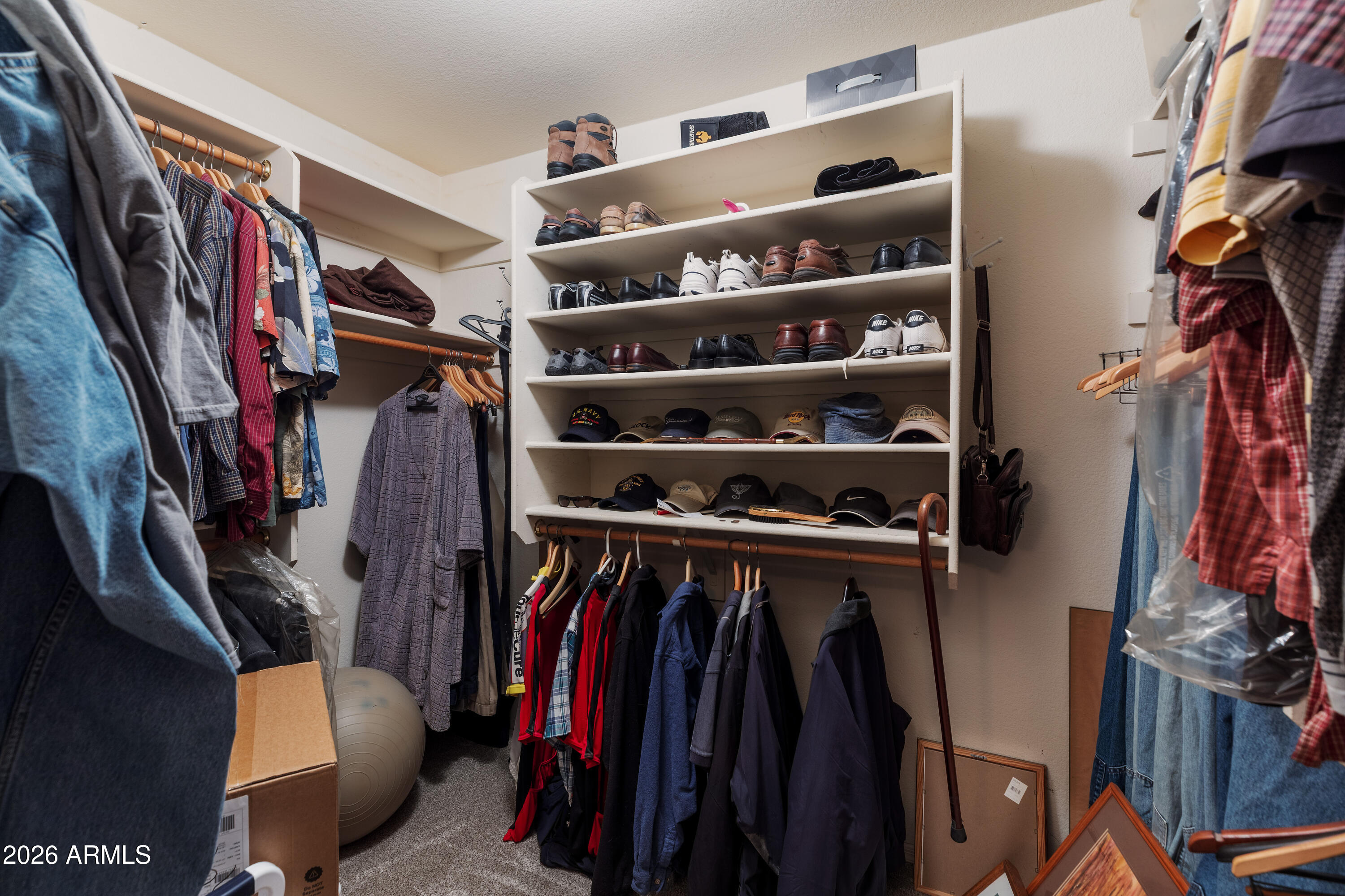 4506 E LONE CACTUS Drive