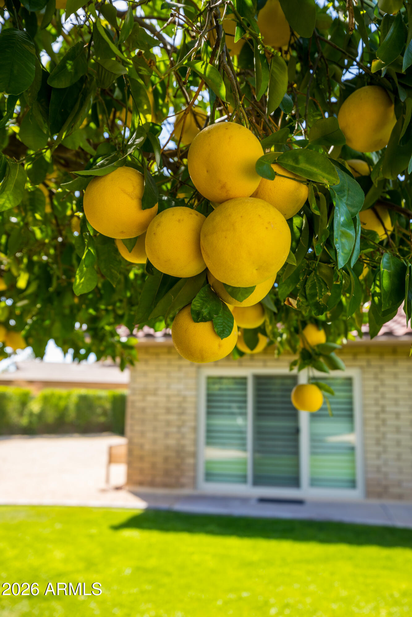 7528 N DEL NORTE Drive