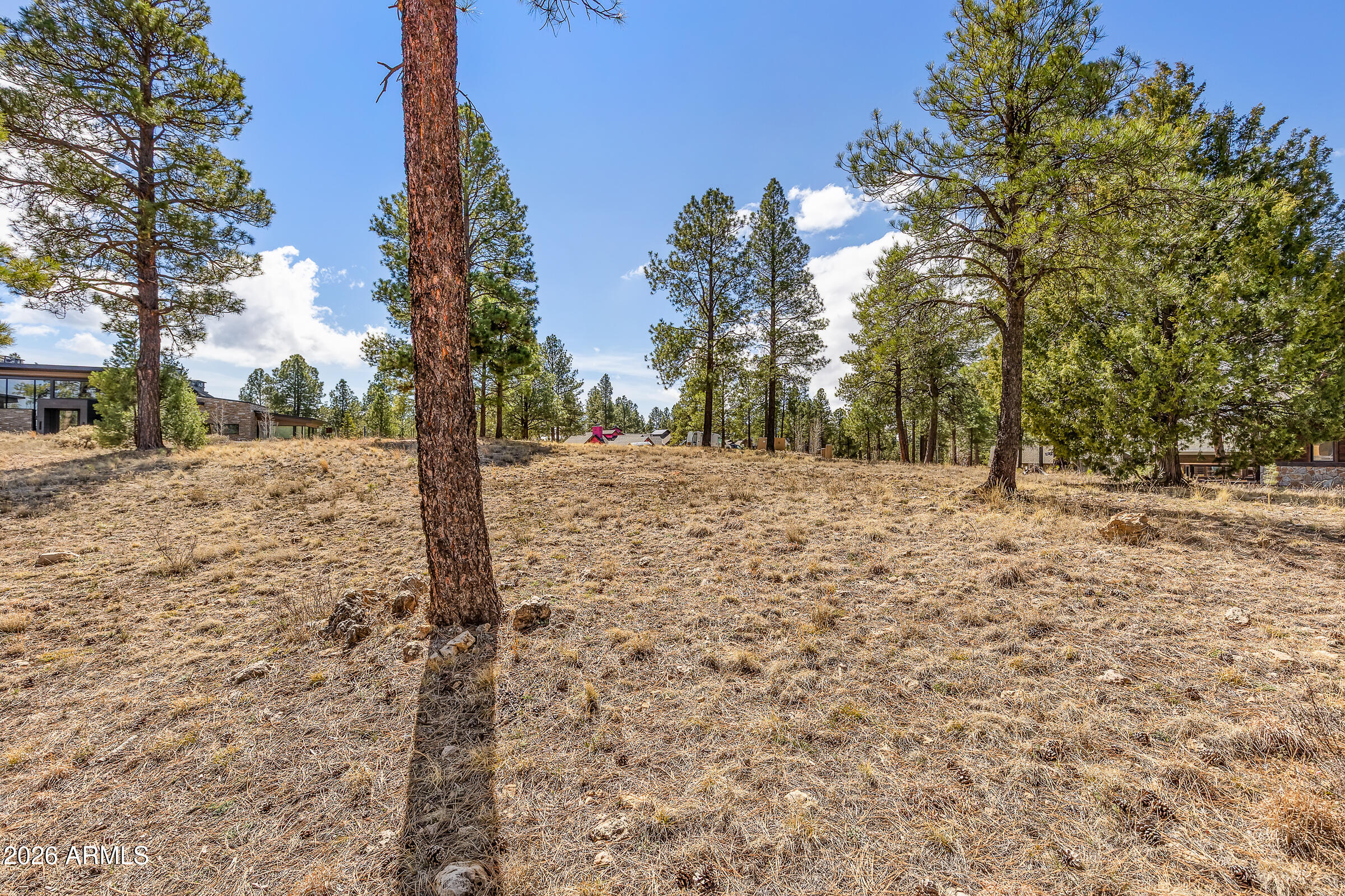 3401 S Brown Sage Court 261