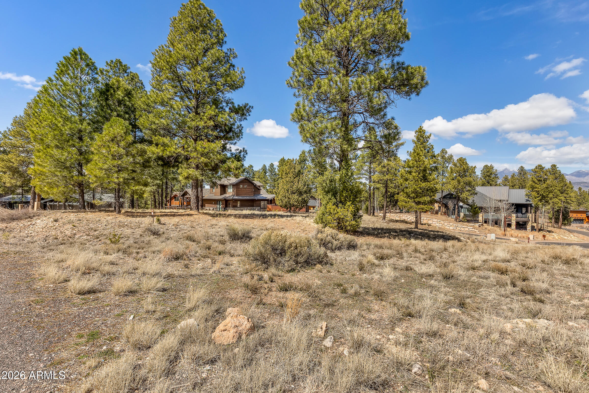 3401 S Brown Sage Court 261