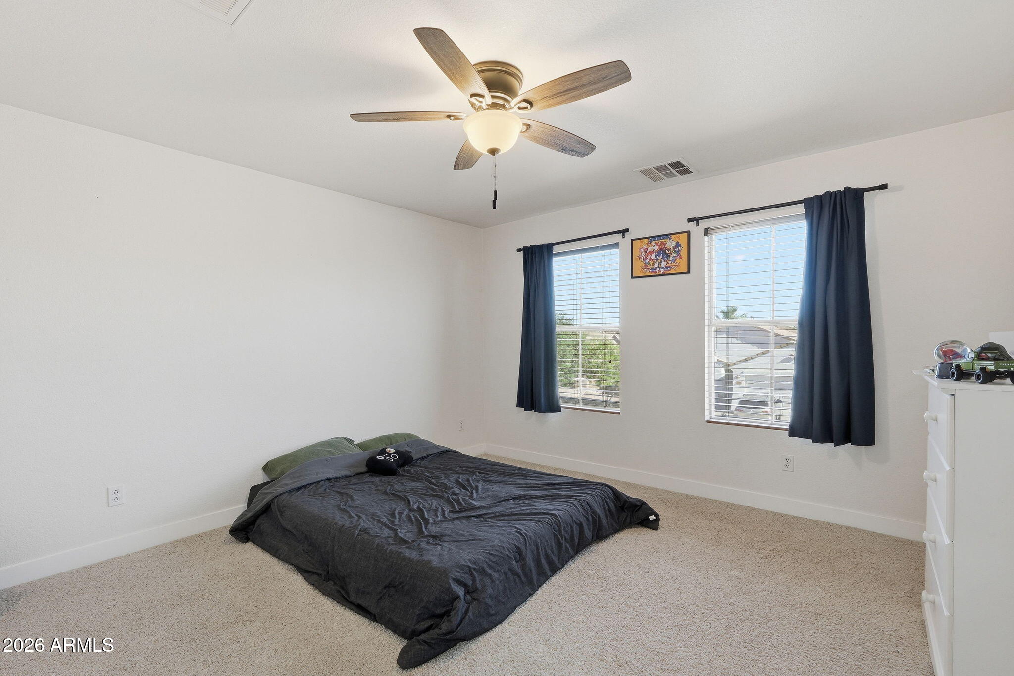 2985 W GOLDMINE MOUNTAIN Drive