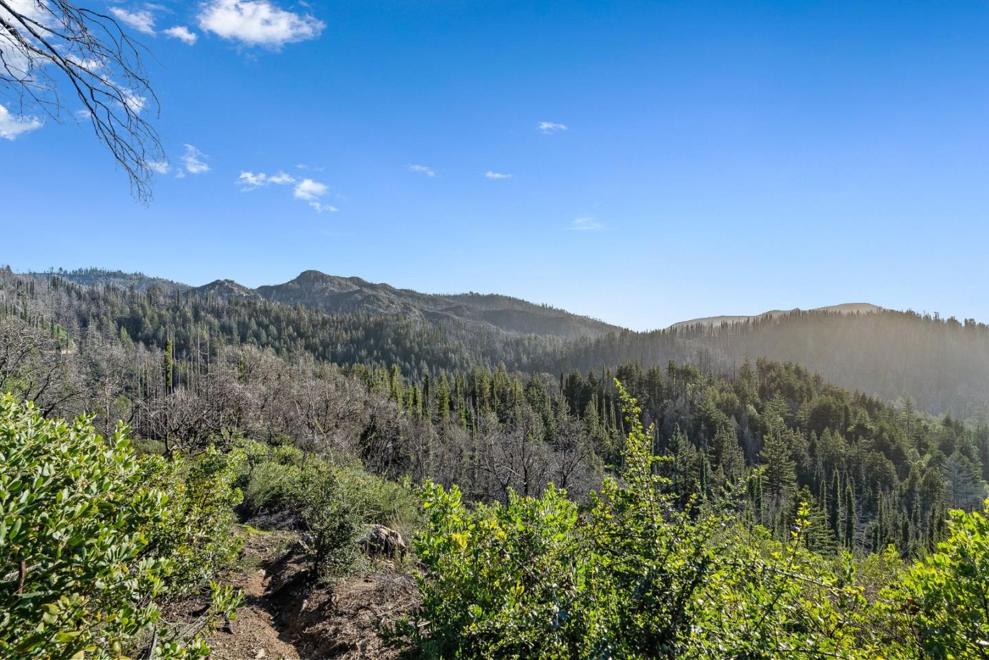 21200 Big Basin WAY