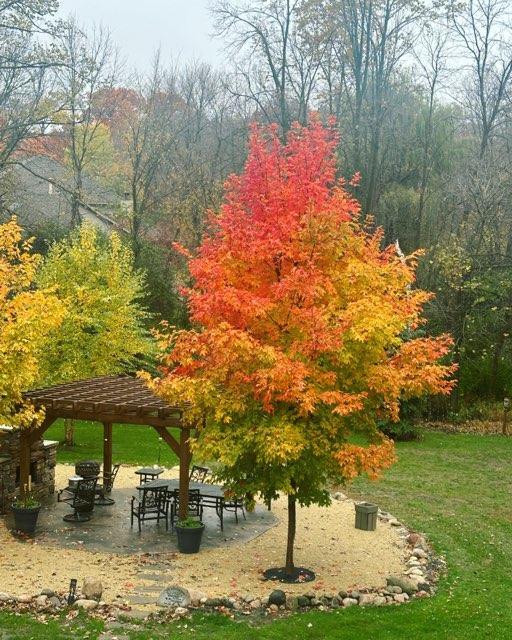 11404 Knollwood Court NE