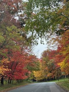 11404 Knollwood Court NE