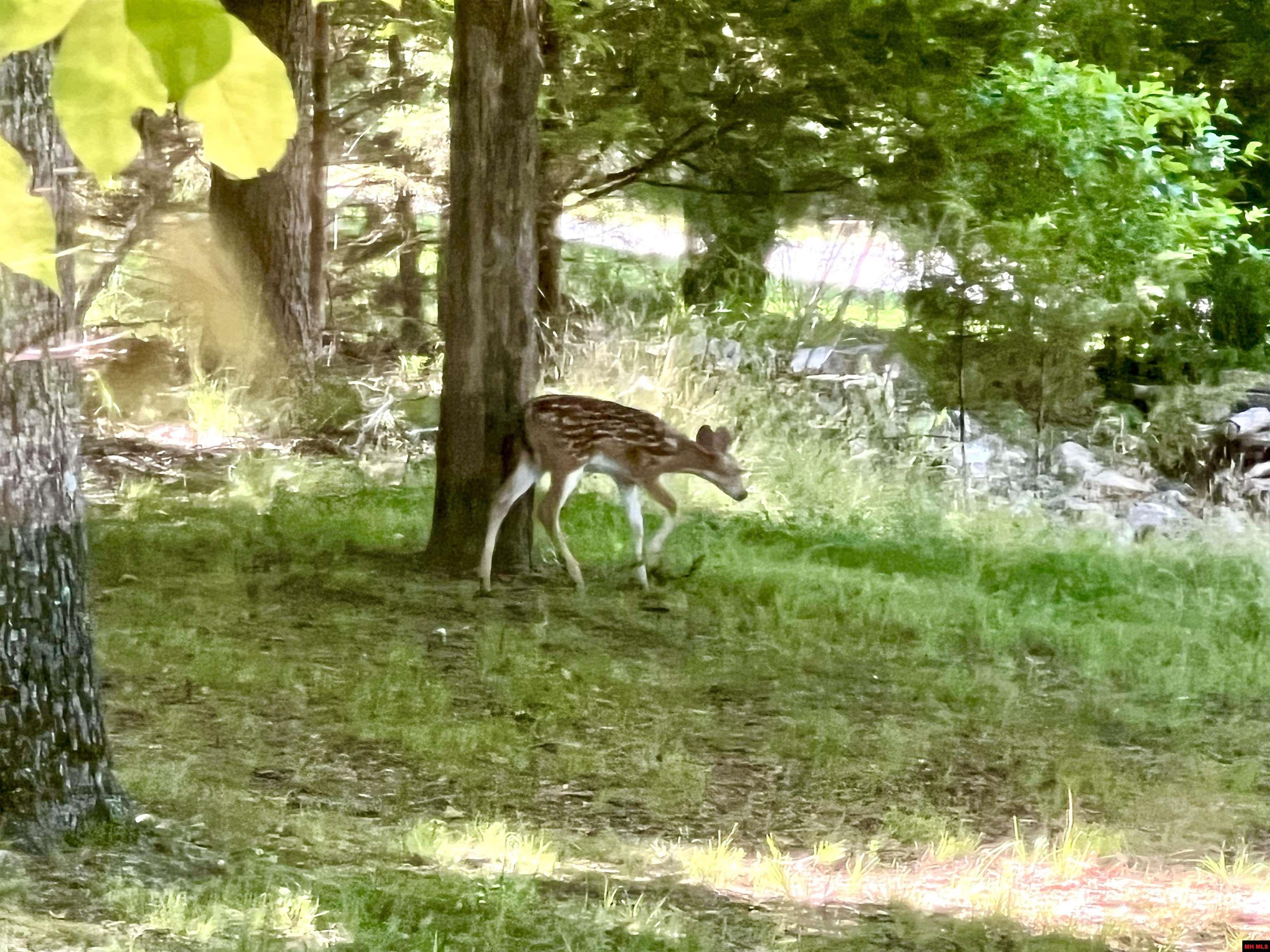 49 WATERFRONT CIRCLE