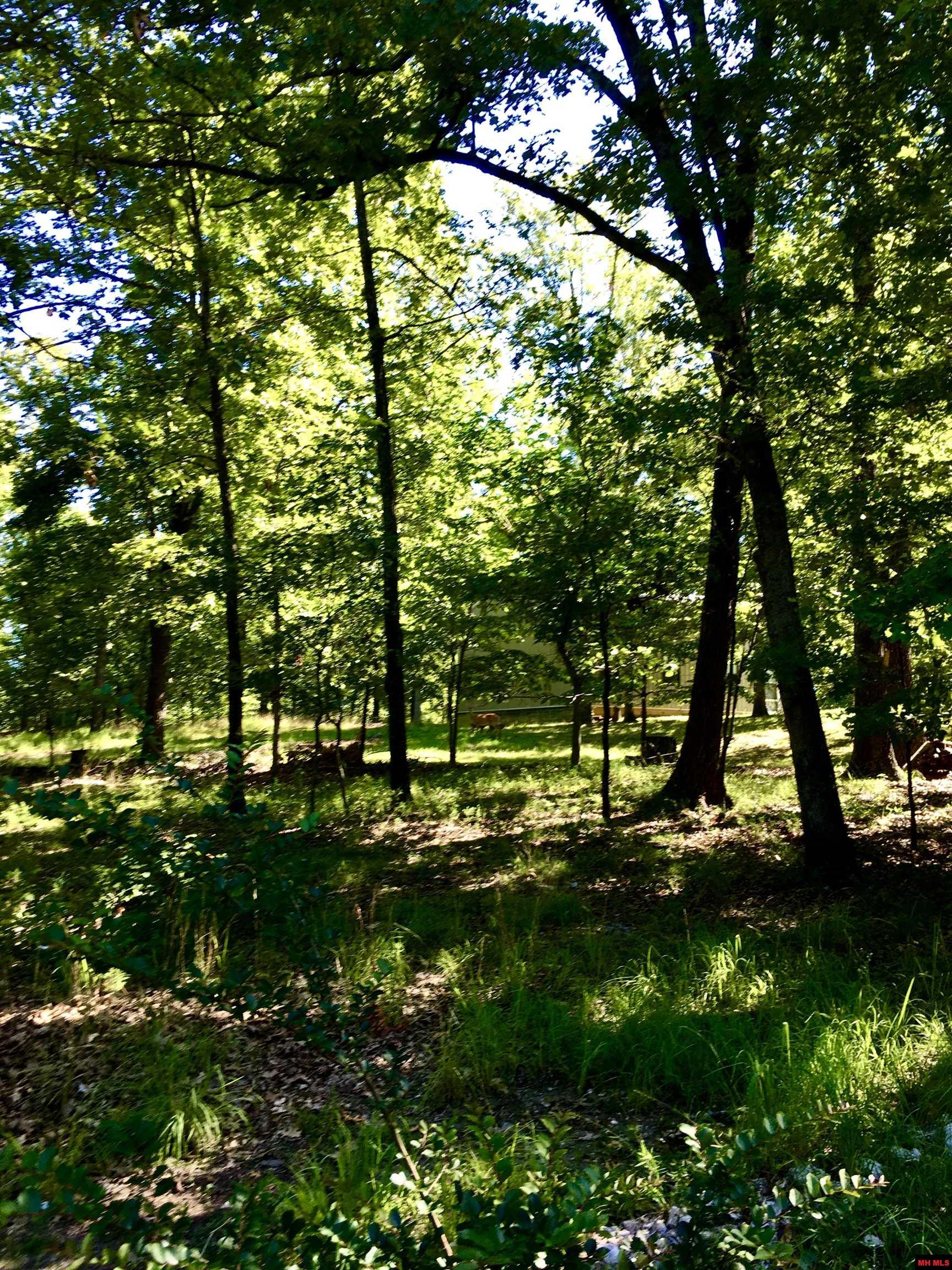 49 WATERFRONT CIRCLE