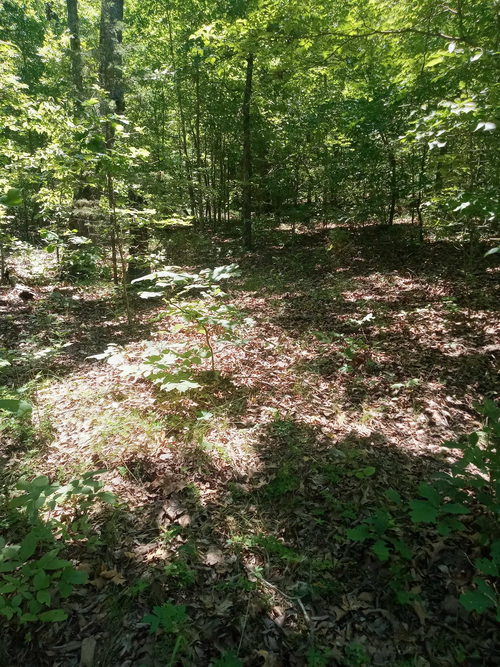 314 Country Springs Road