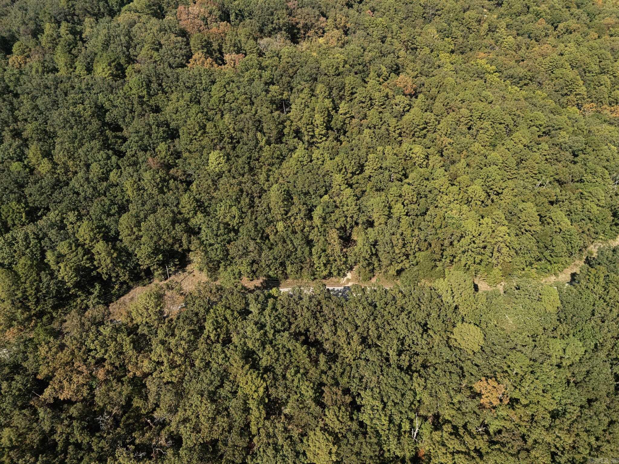 000 Dwelle Road Road