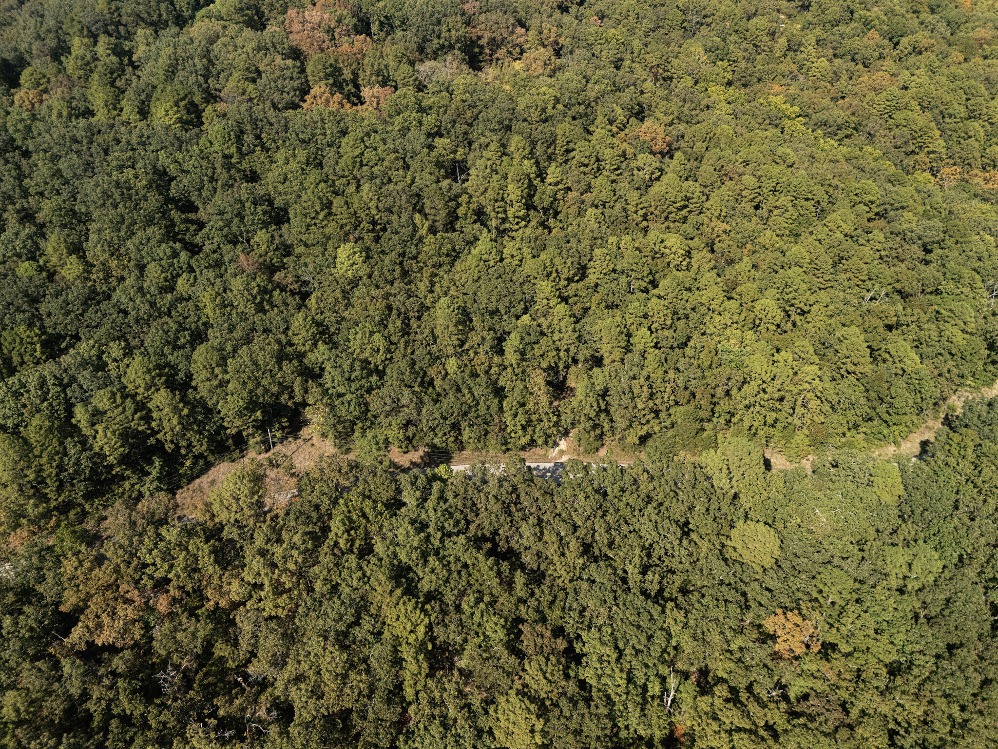 000 Dwelle Road Road