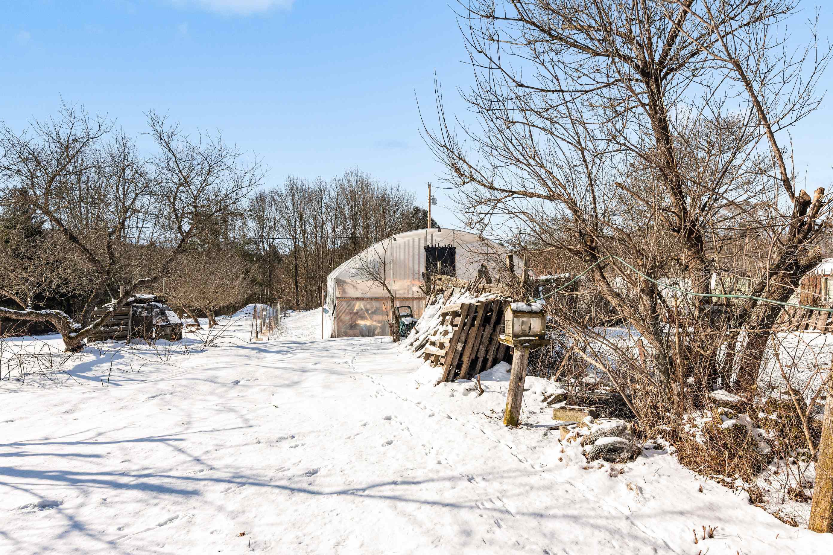 341 Plains Road