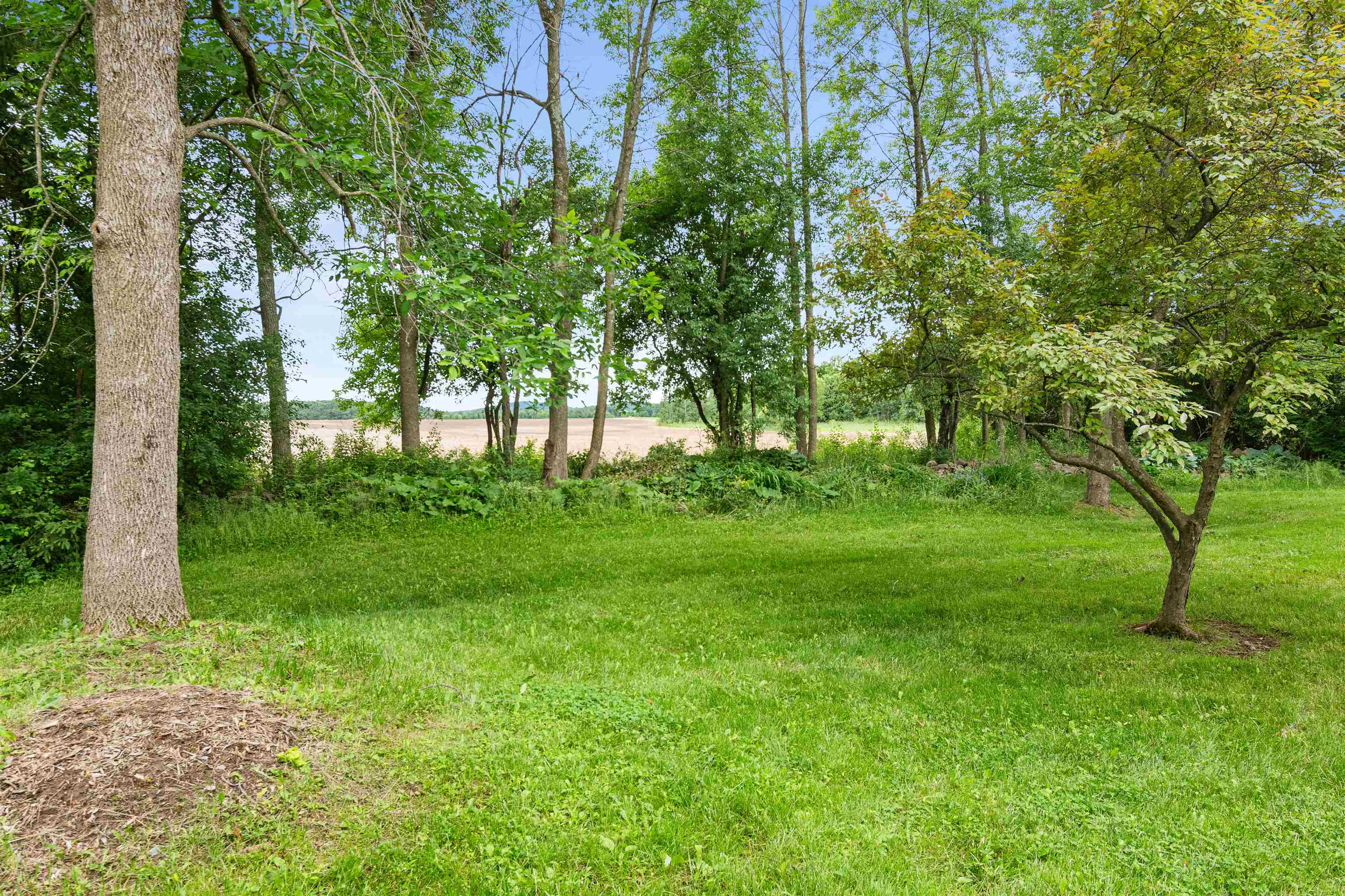 141 Covington Lane