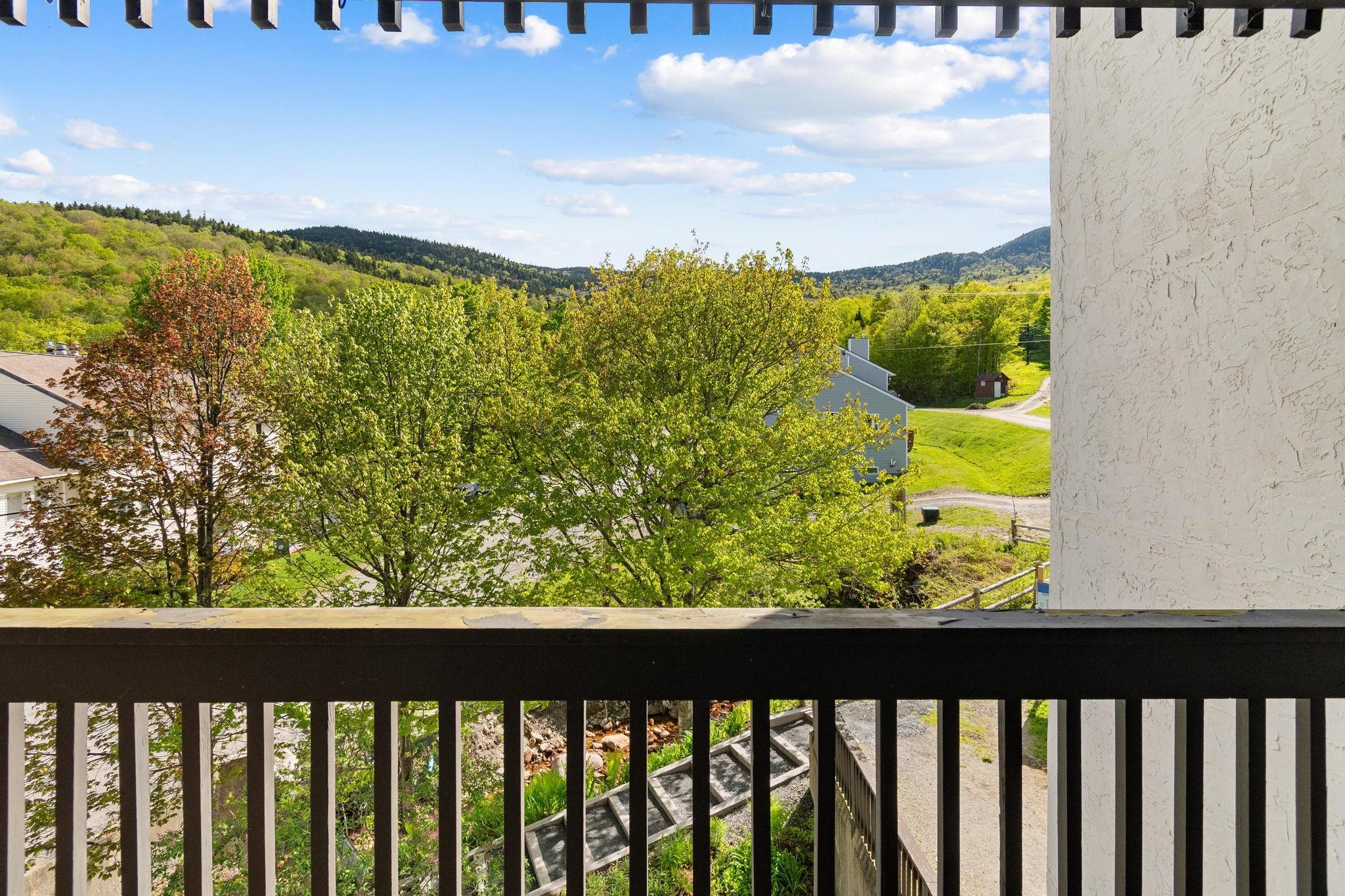 4302 Bolton Valley Access Road Unit: 296