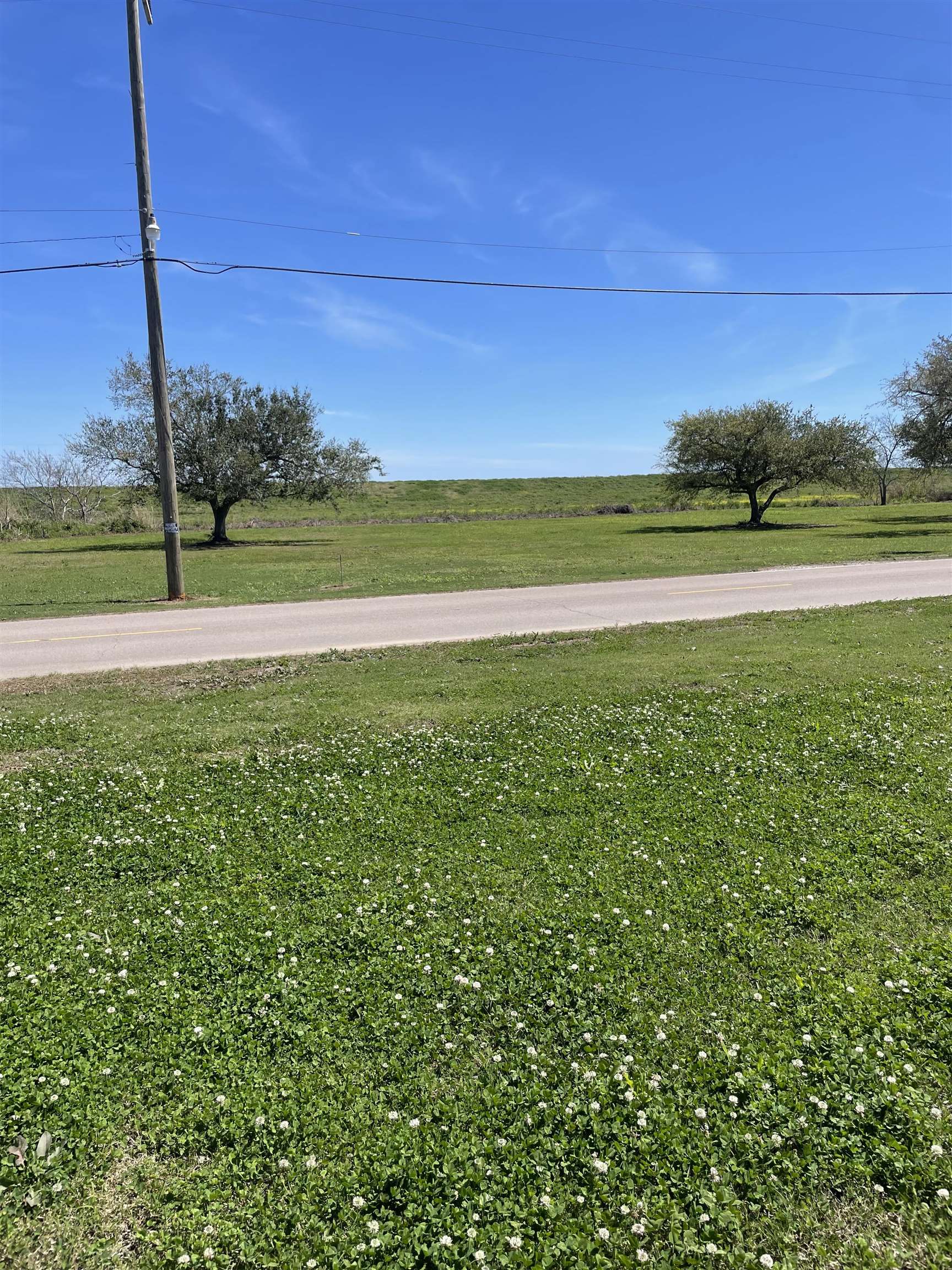 2168 Hwy 55 (batture)