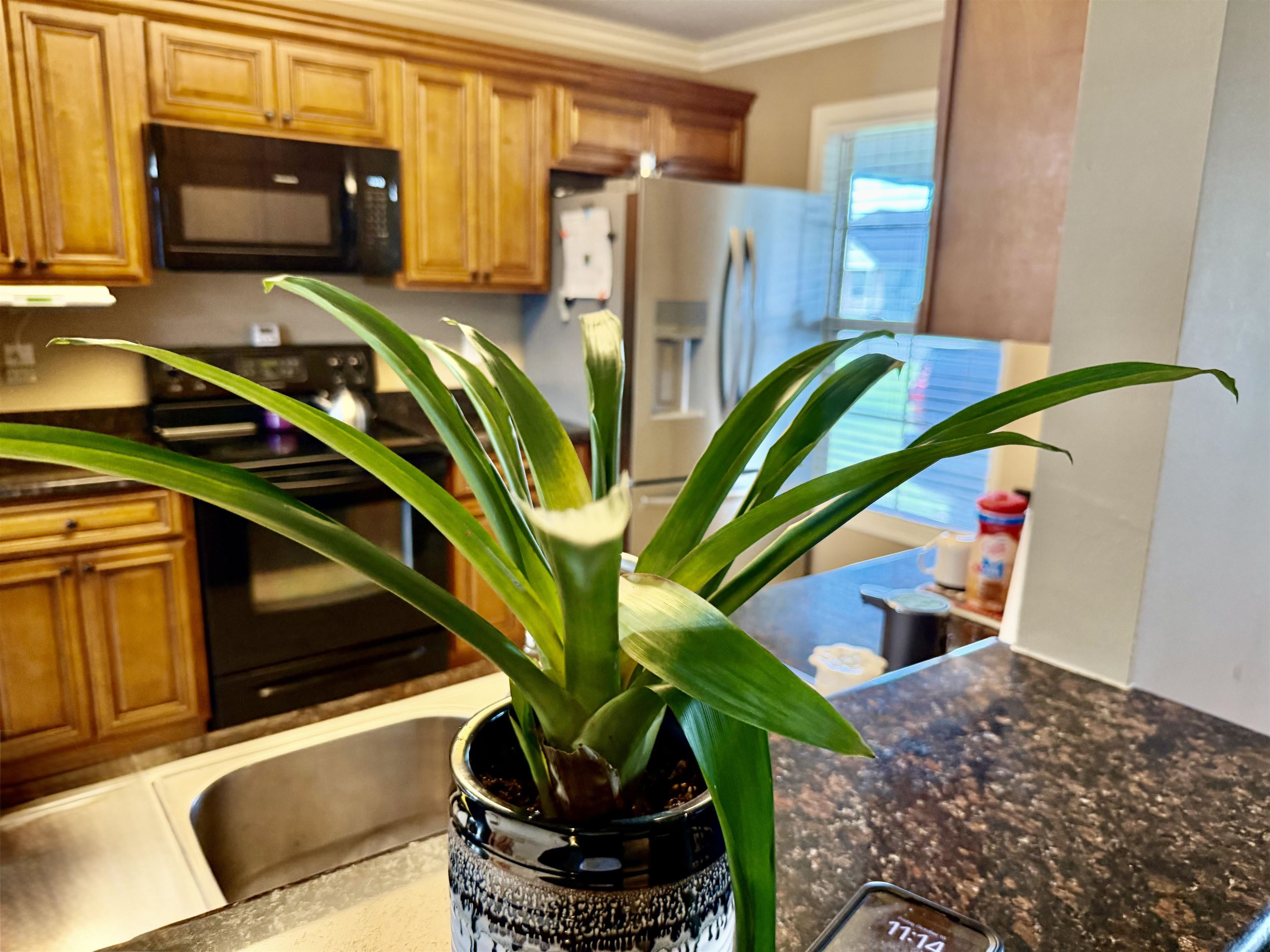 169 Landmark Dr # 1 Unit: #1