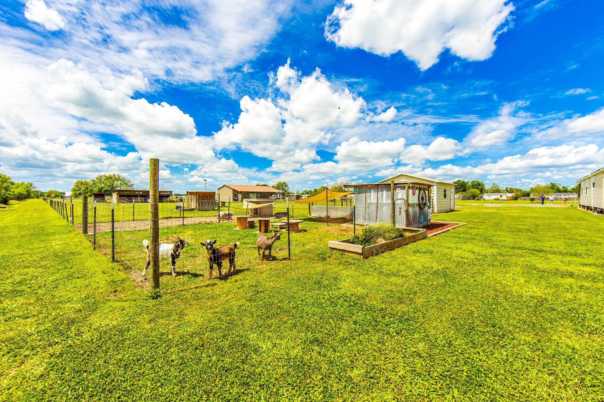 522A Back Project Road