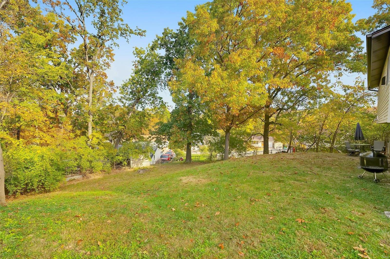 828 Ron Drive