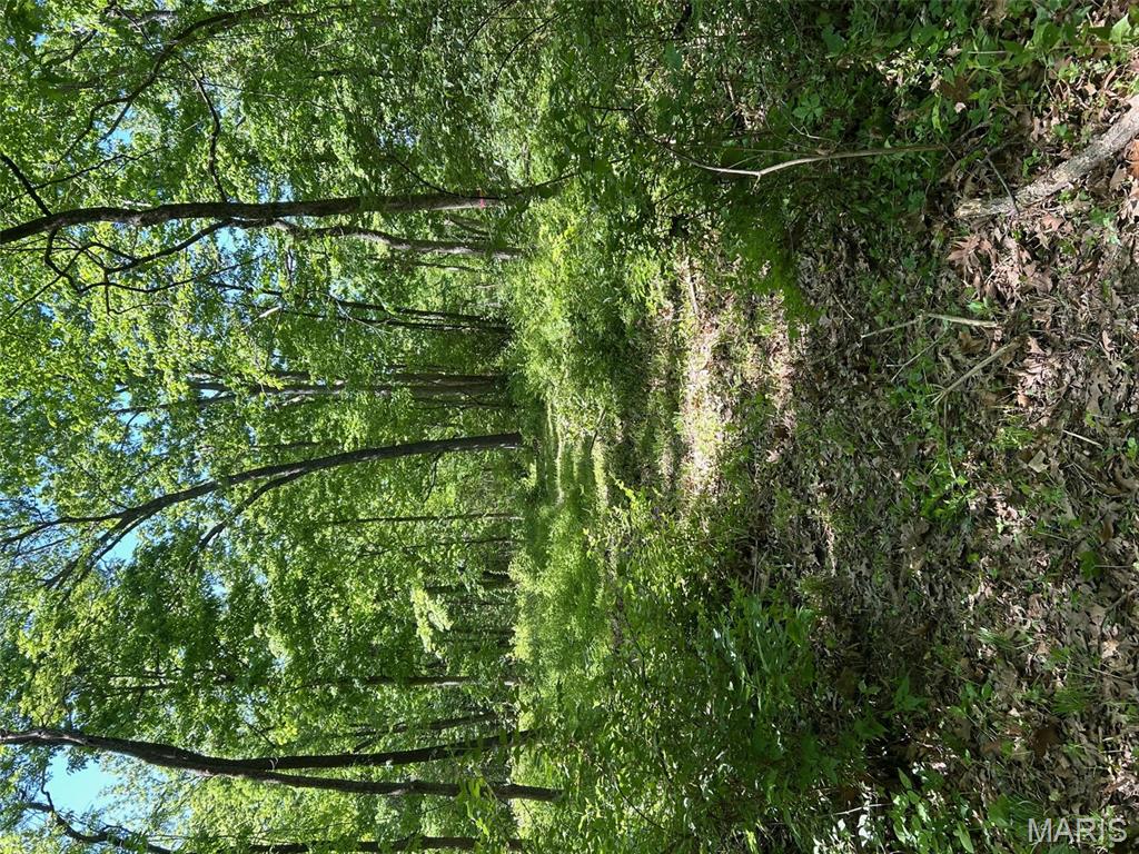 136 Sydnorville Road