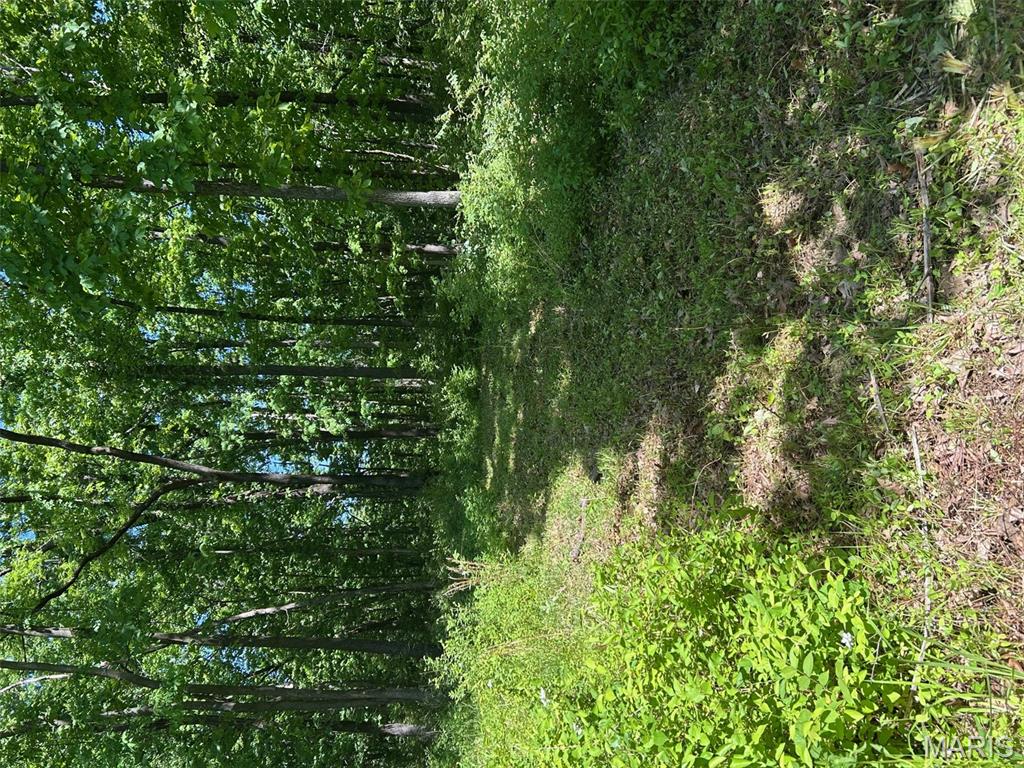 136 Sydnorville Road