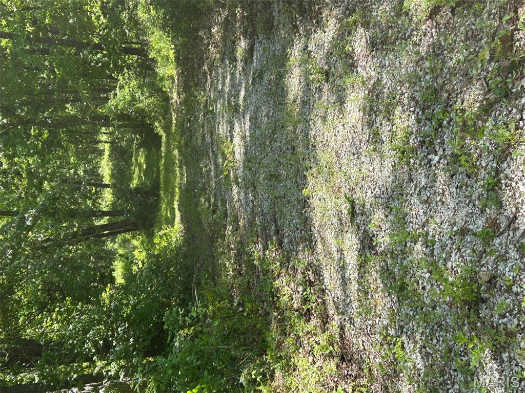 136 Sydnorville Road