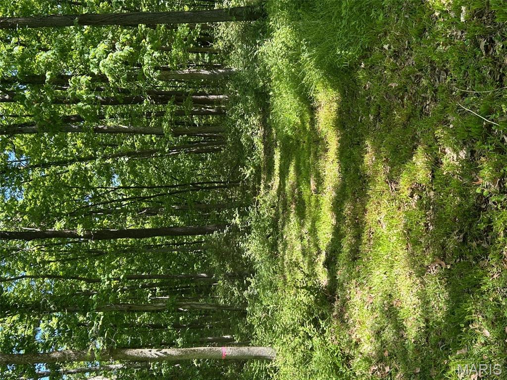 136 Sydnorville Road