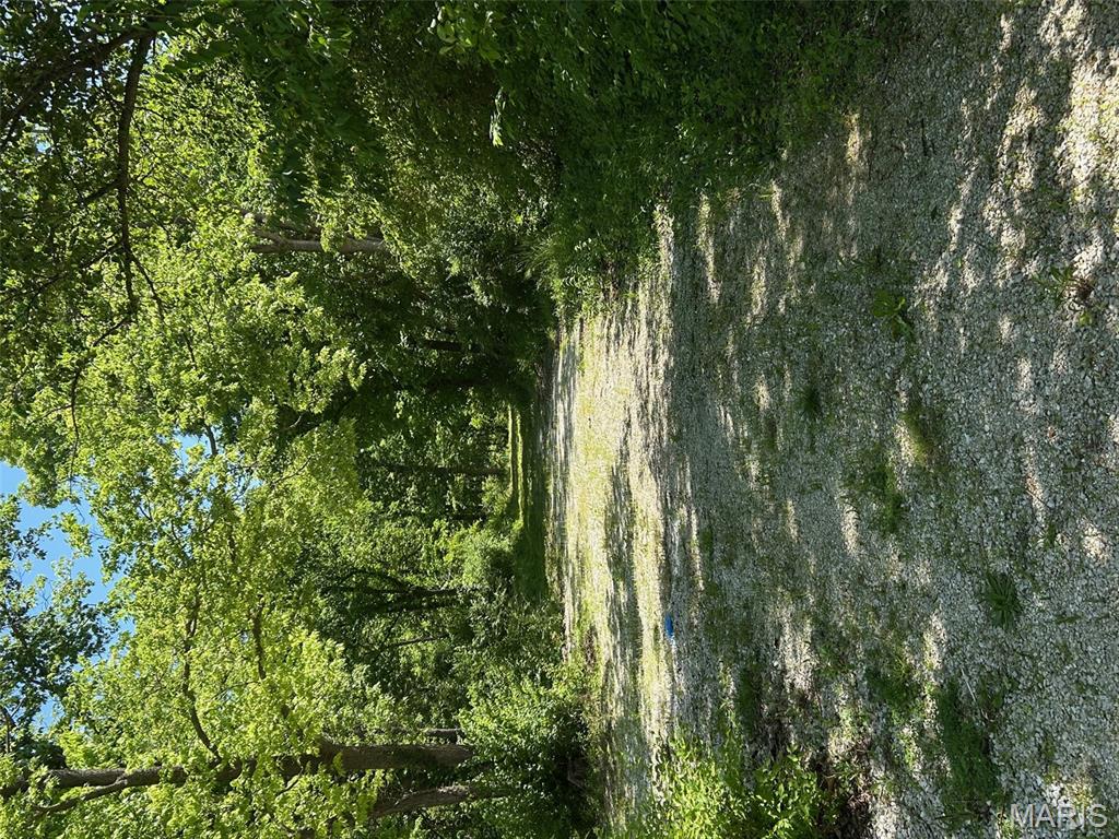 136 Sydnorville Road