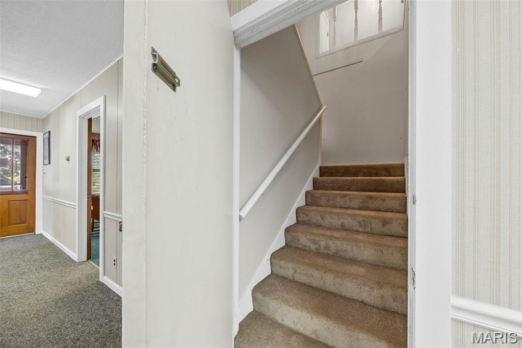423 Woodlawn Avenue
