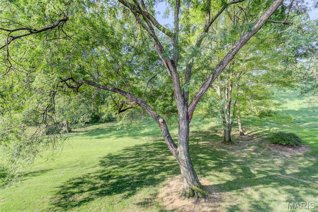 13168 Royal Pines Drive