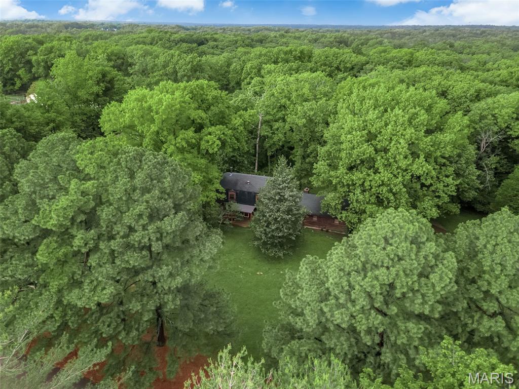 7 Wilderness Lane