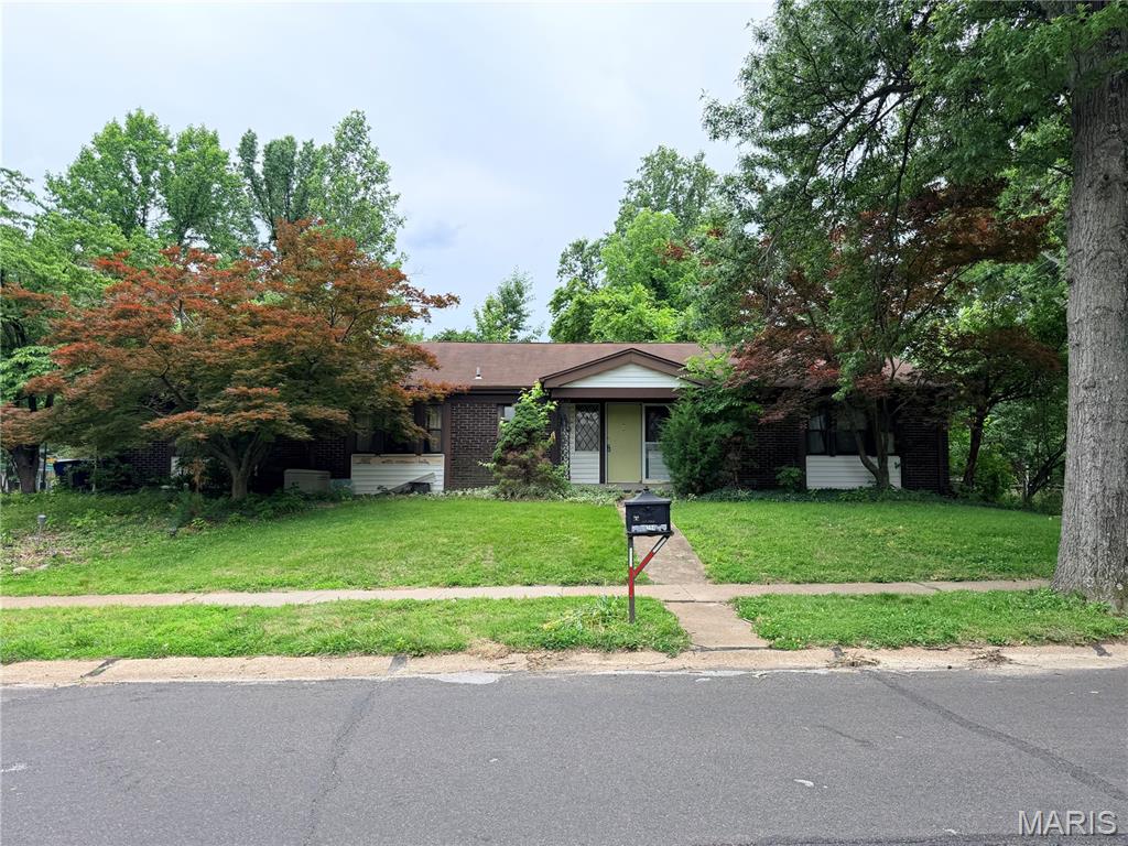 13204 Hobnail Drive