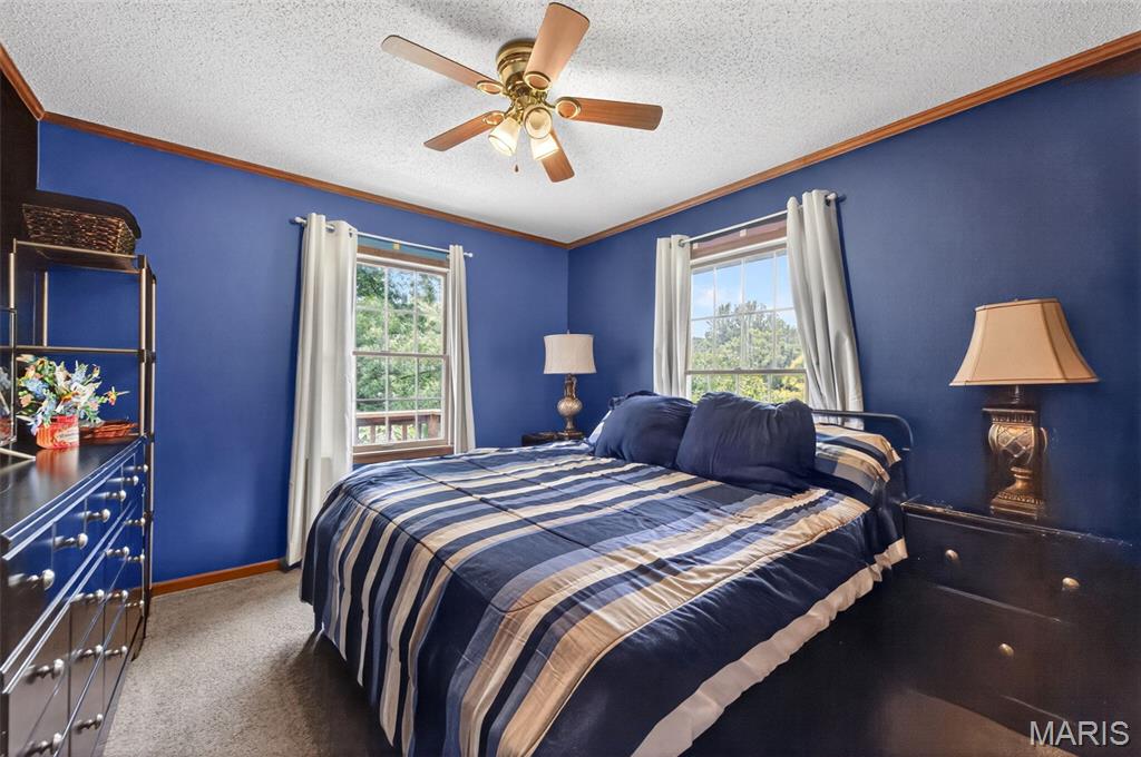 15633 Pike 237