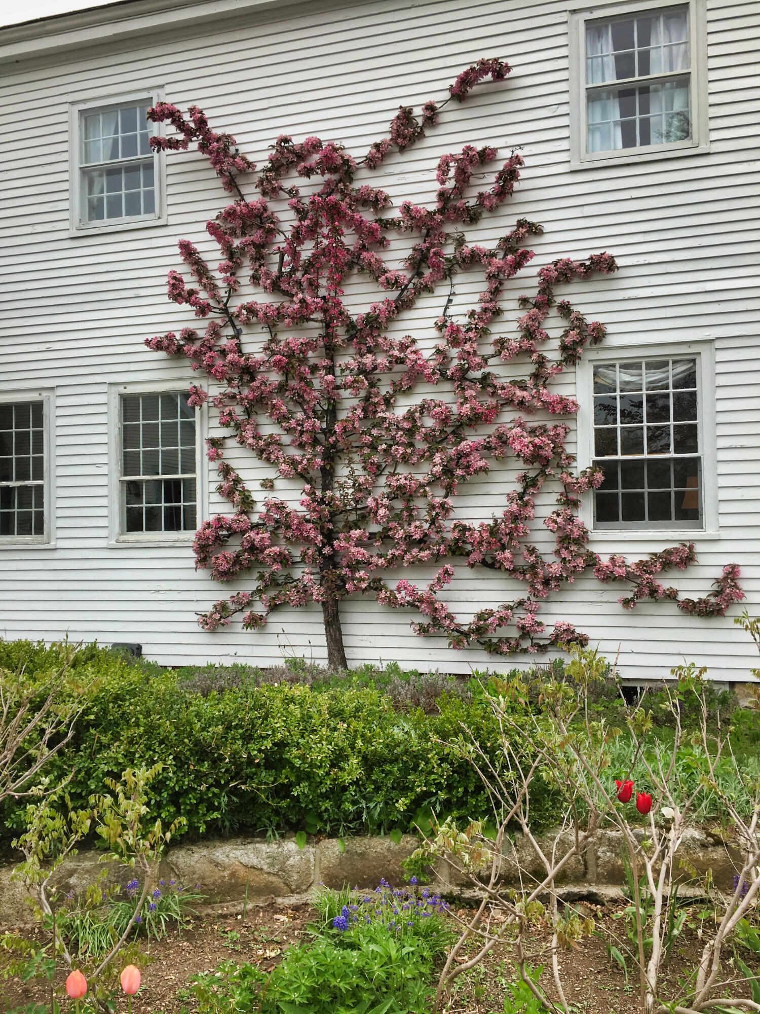 251 Reach Road