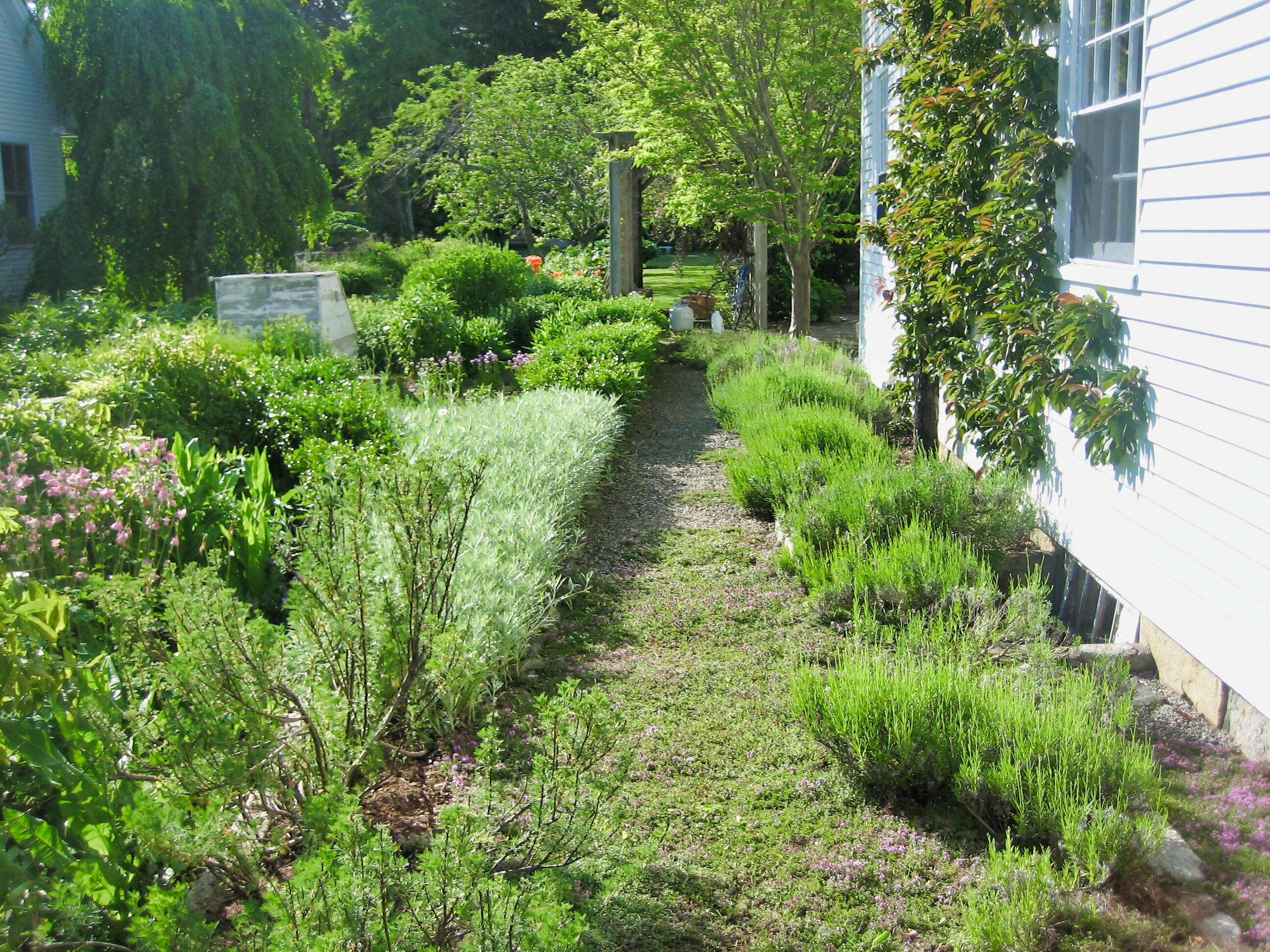 251 Reach Road