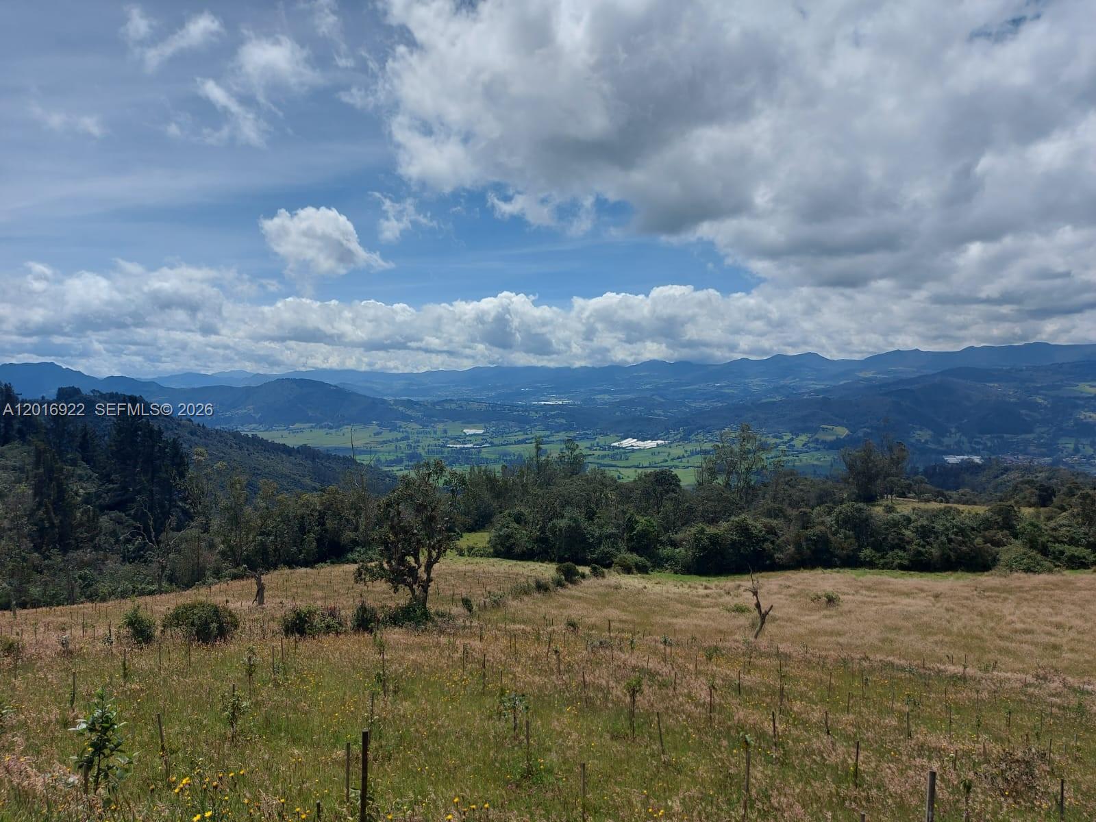 CRA 7 #237-04 Bogota, Colombia