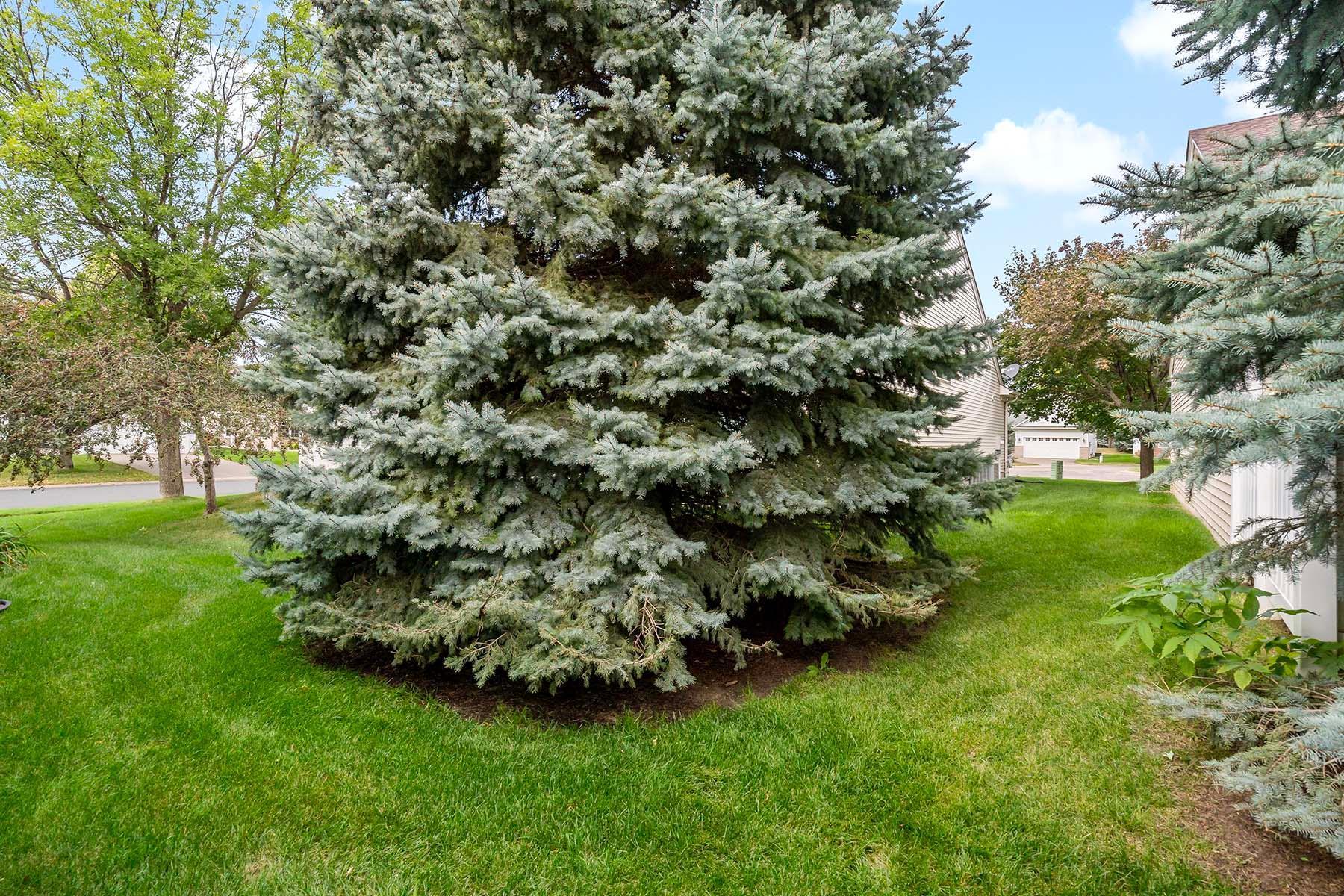 14570 Bloomfield Place