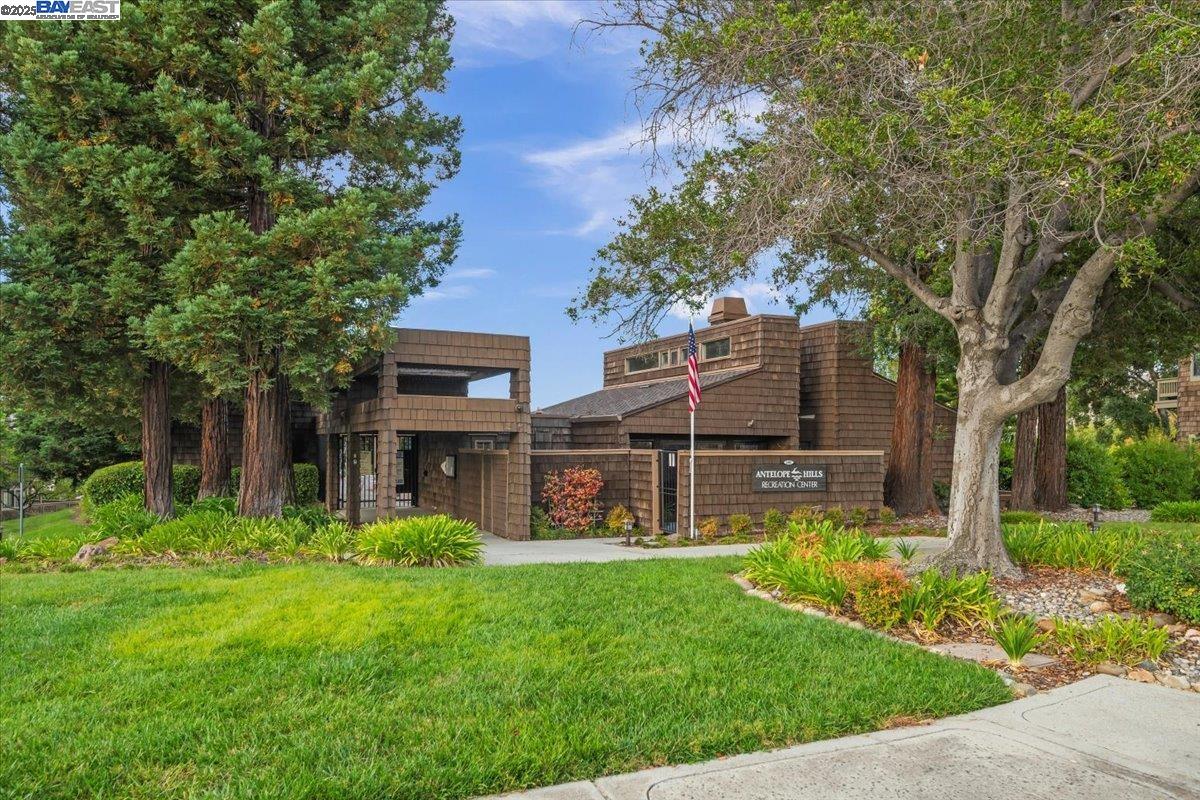 43555 Puesta Del Sol