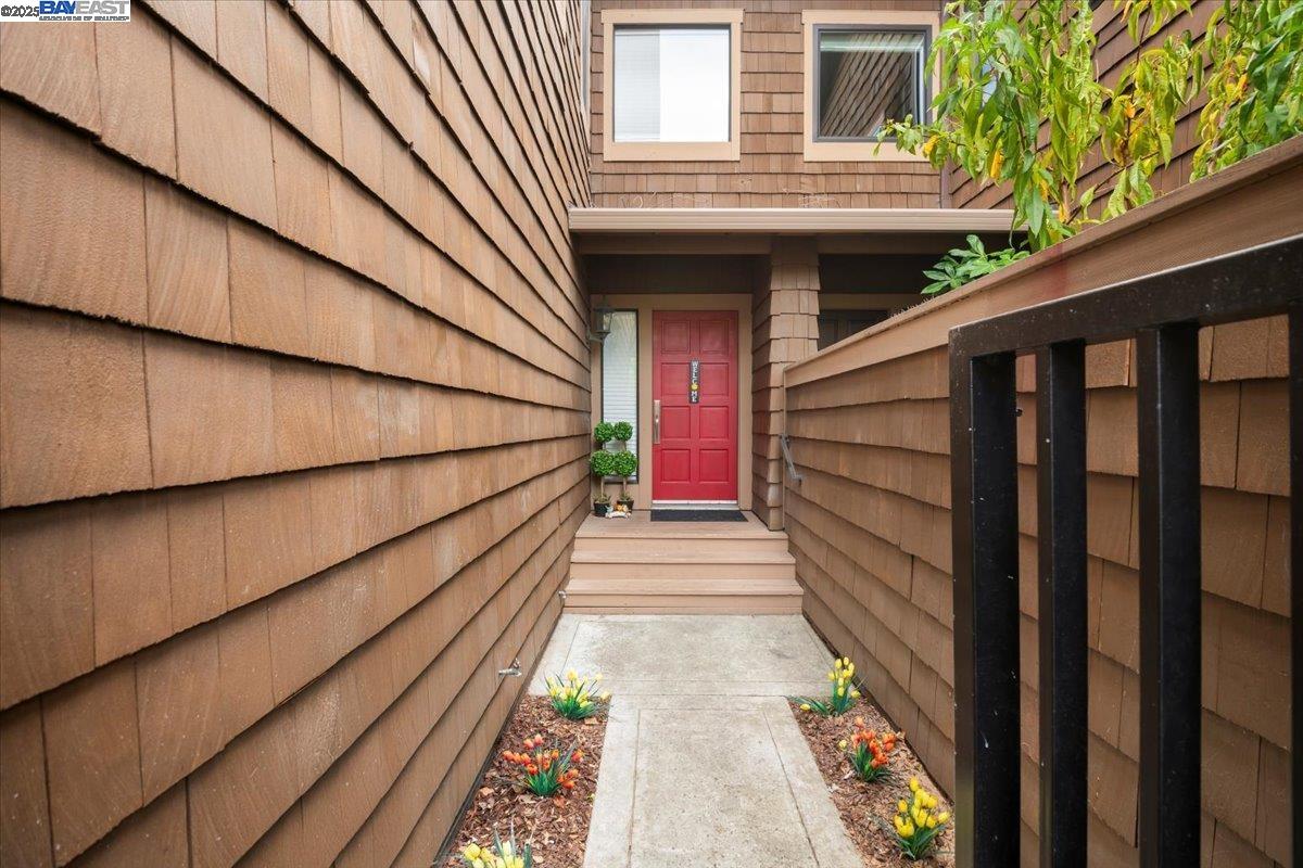 43555 Puesta Del Sol