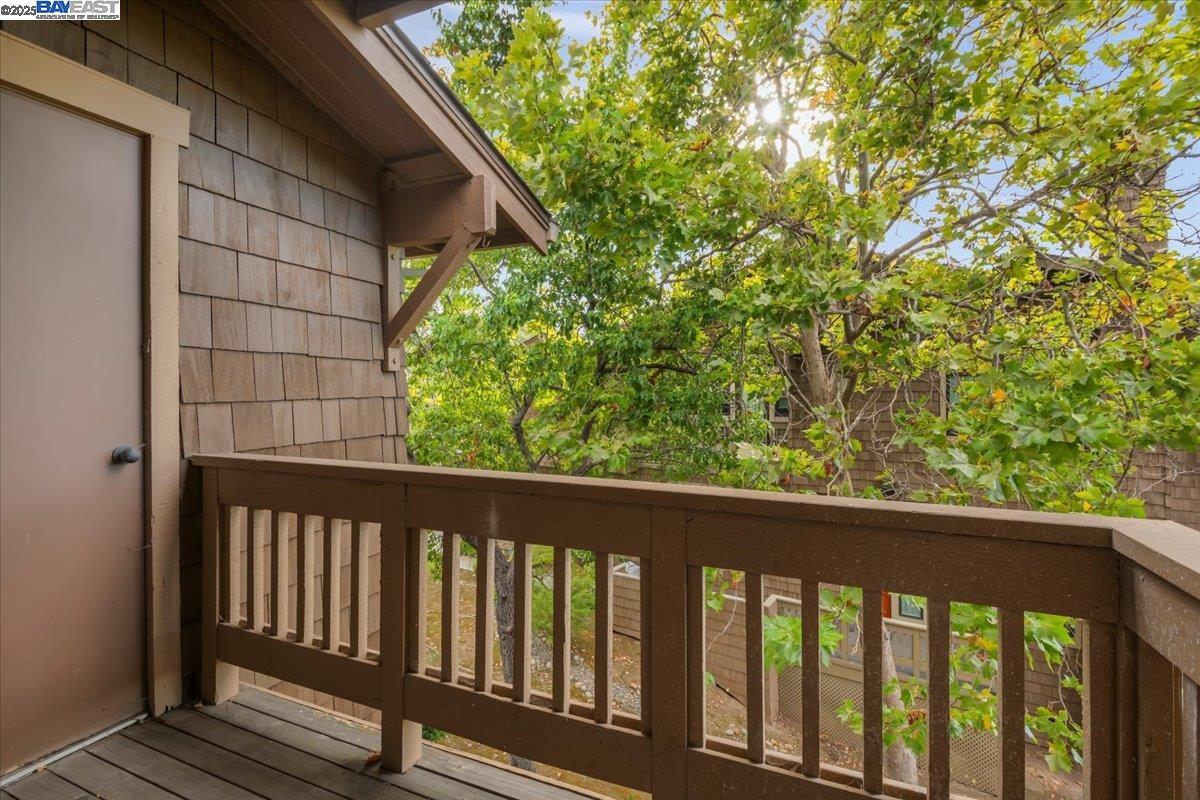 43555 Puesta Del Sol