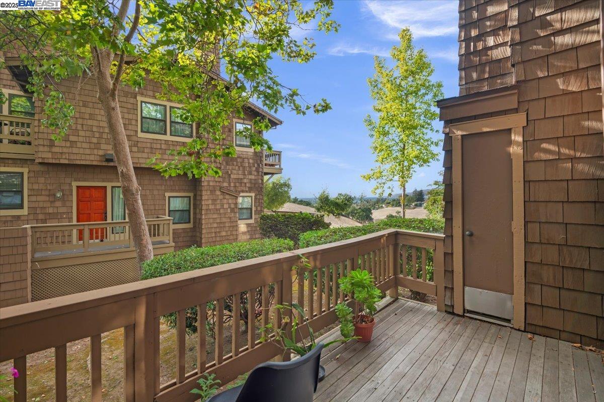 43555 Puesta Del Sol