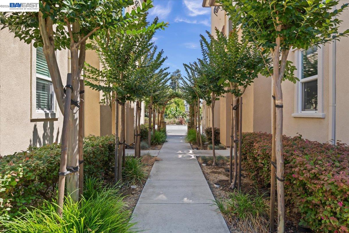 34623 Acquaviva Ter