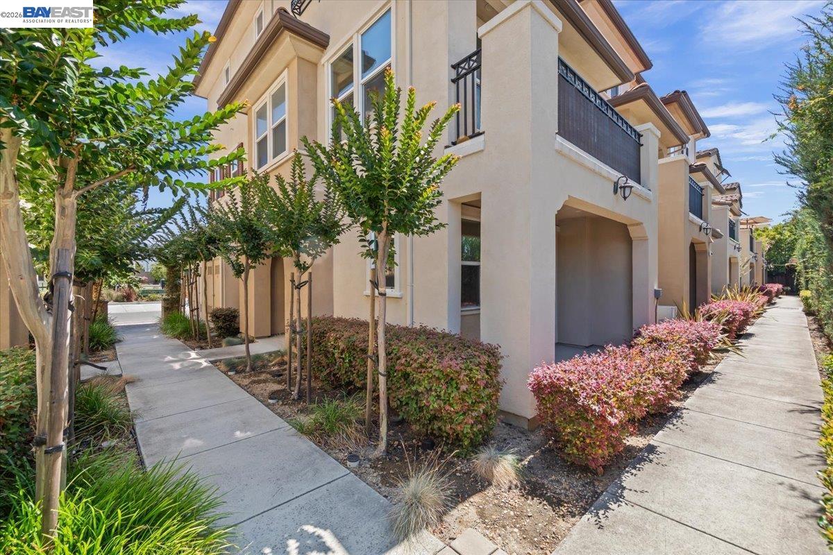34623 Acquaviva Ter