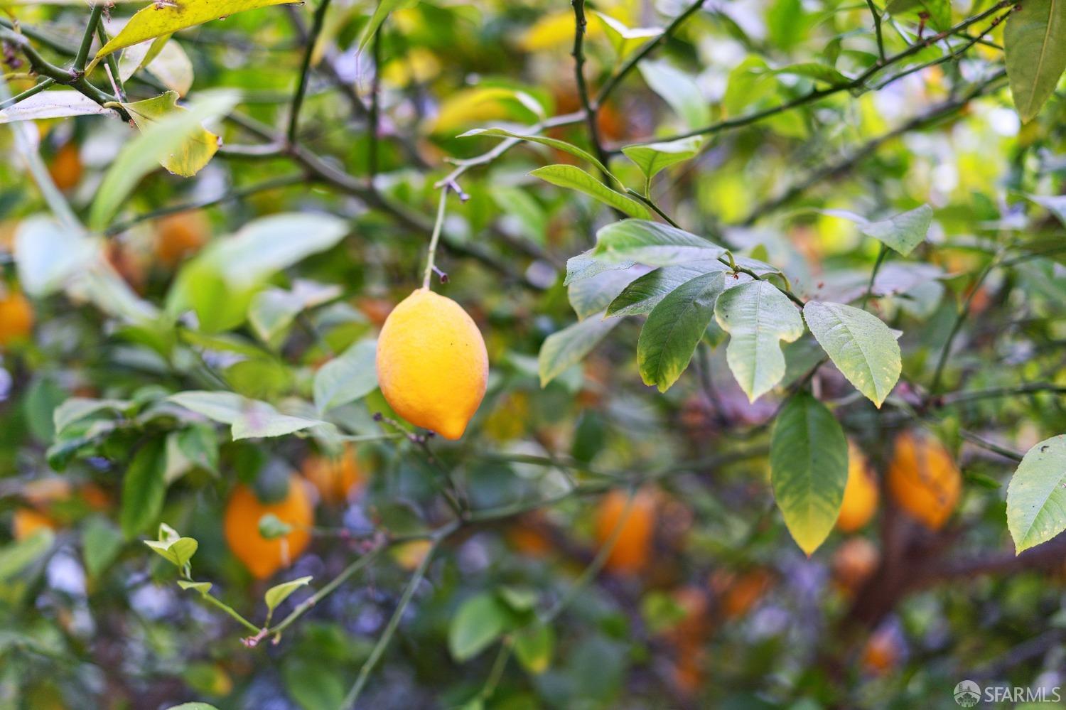 1041 South Van Ness Avenue