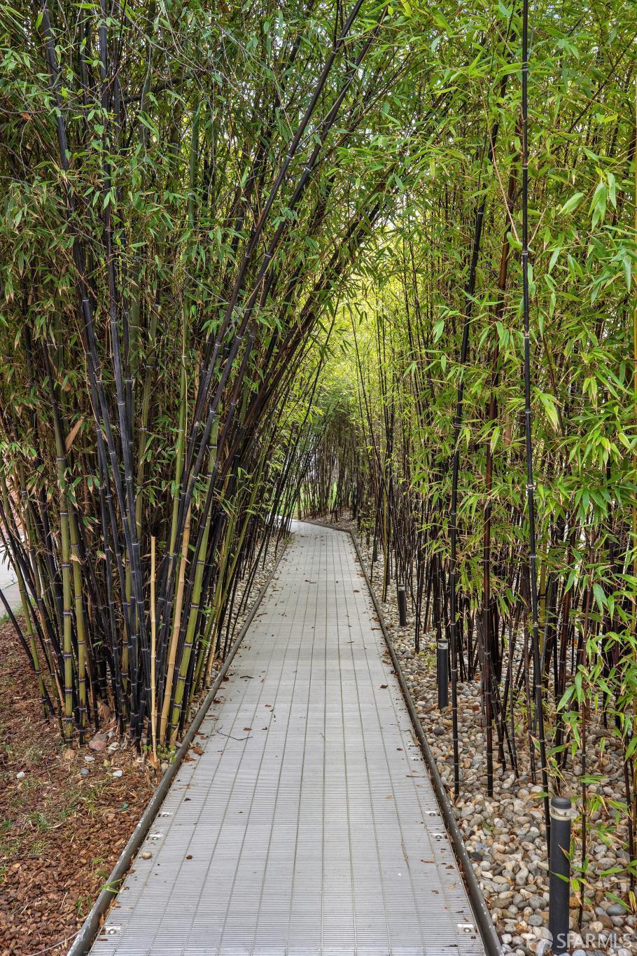 2101 Bryant Street # 205