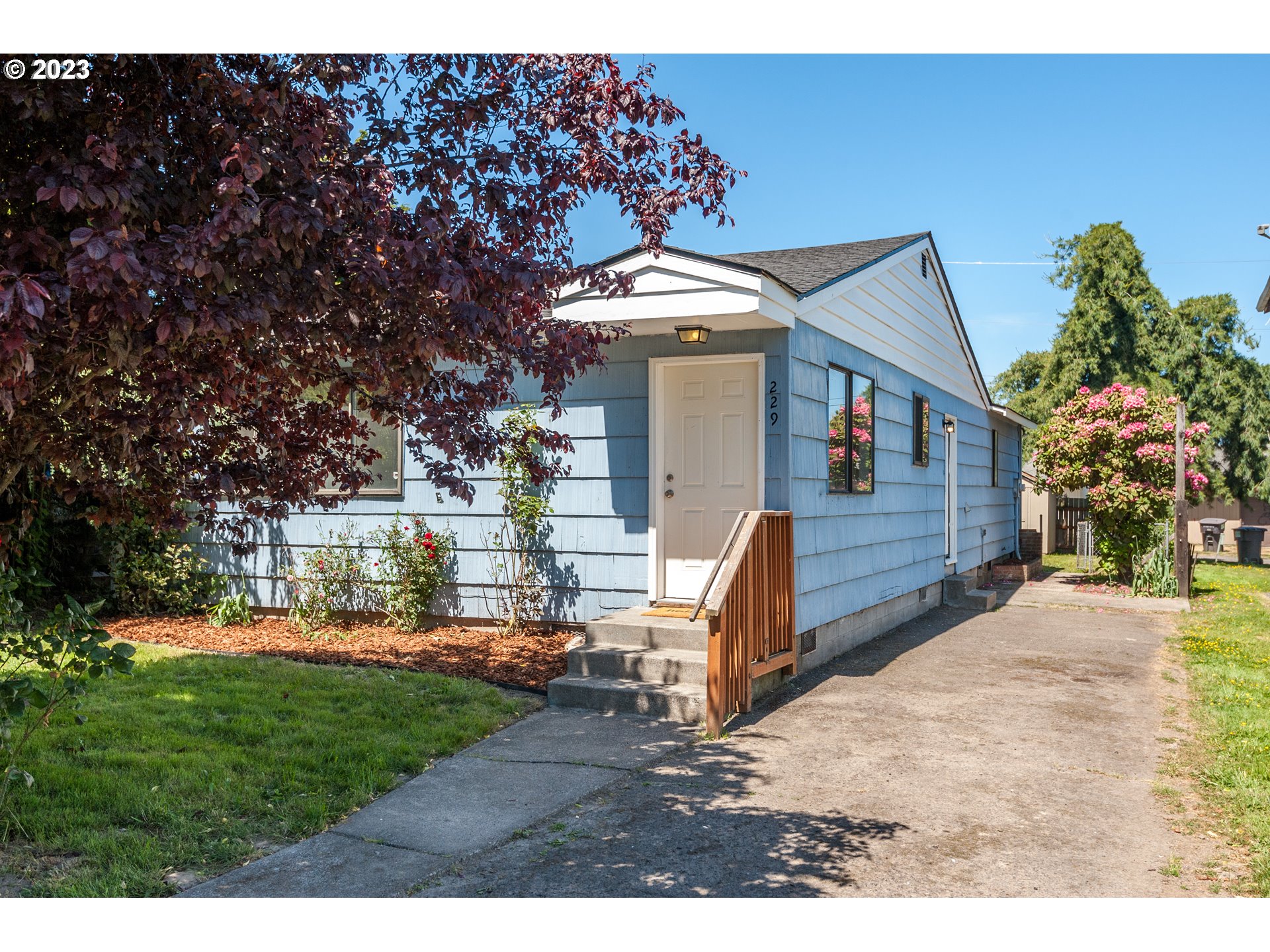 229 25TH AVE