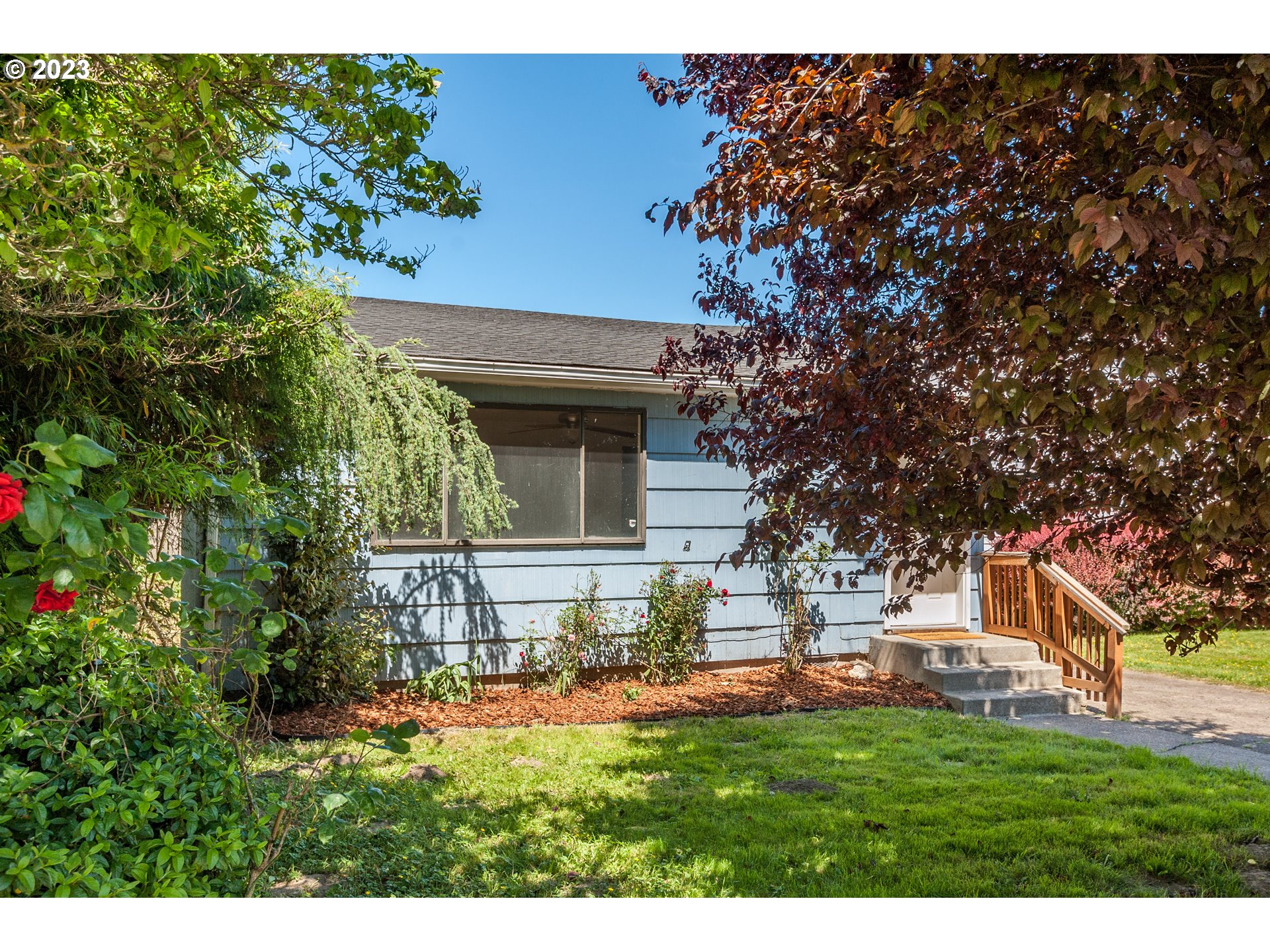229 25TH AVE