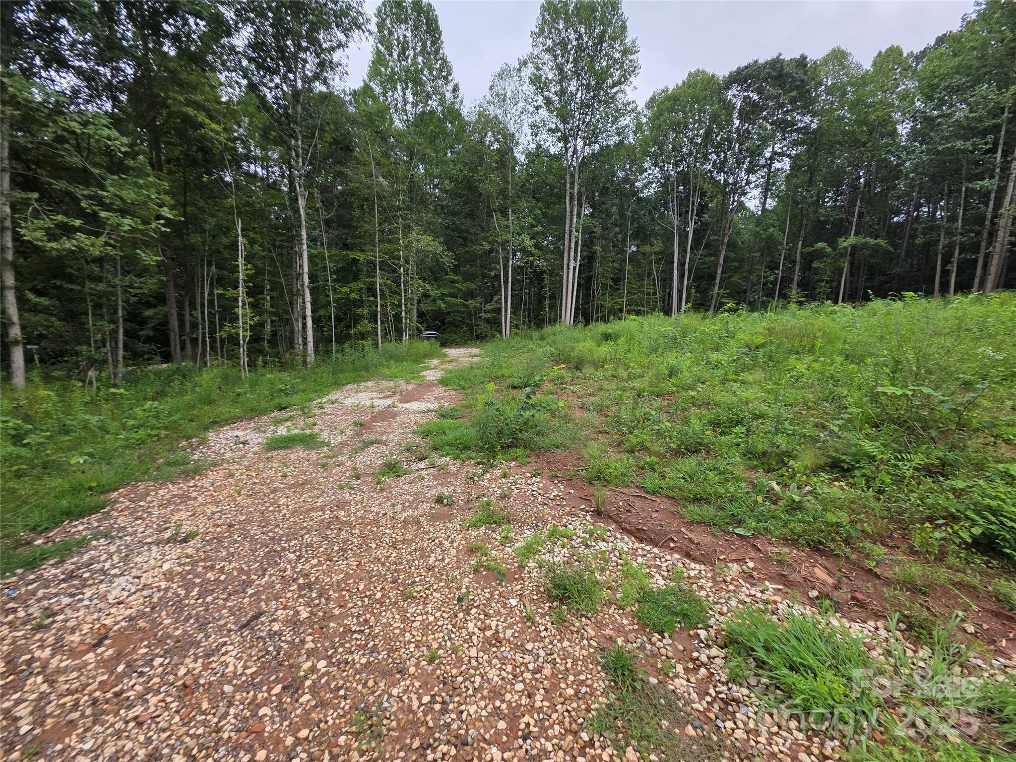 274 Deerchase Circle