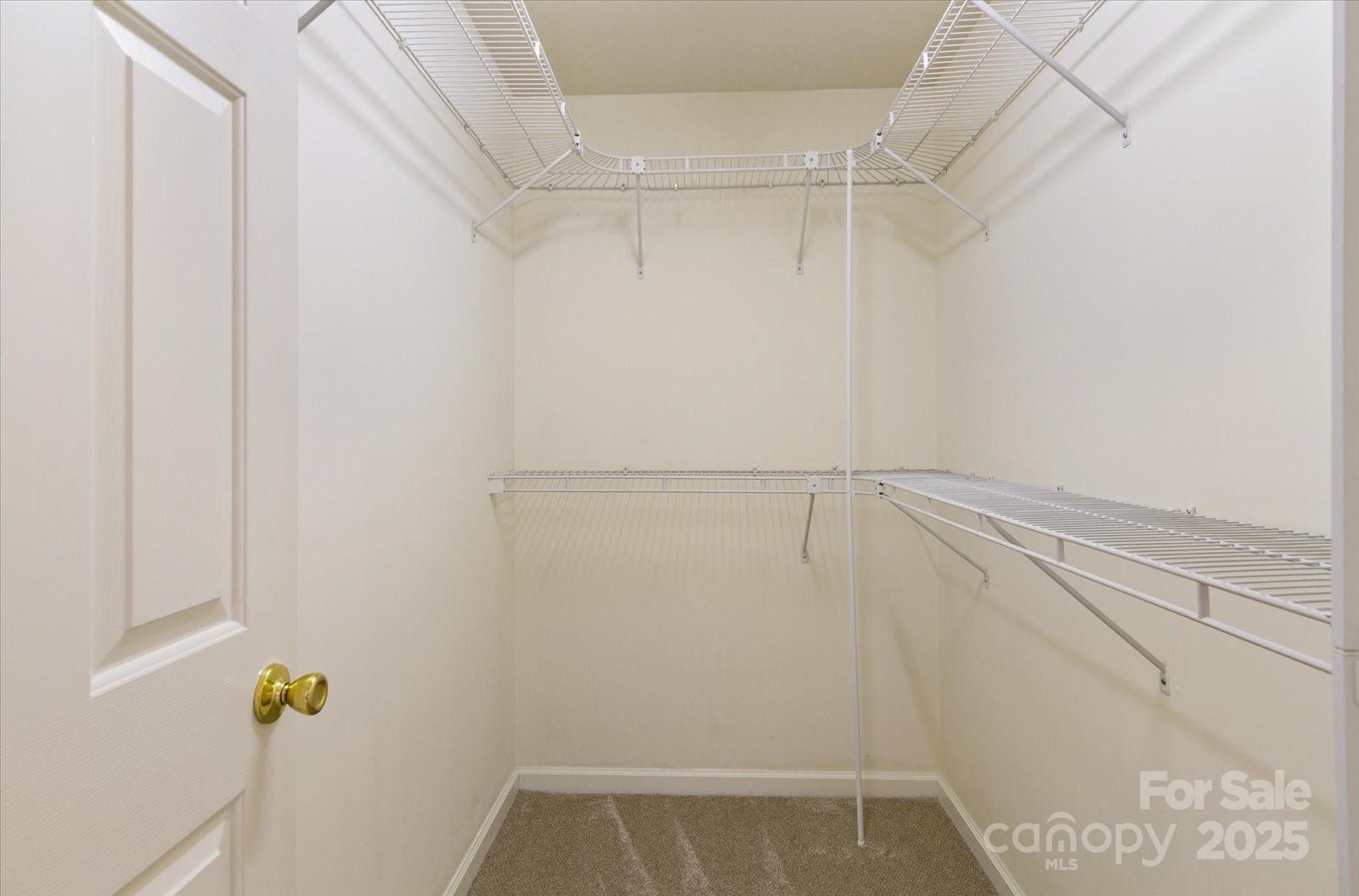 14648 Greenpoint Lane