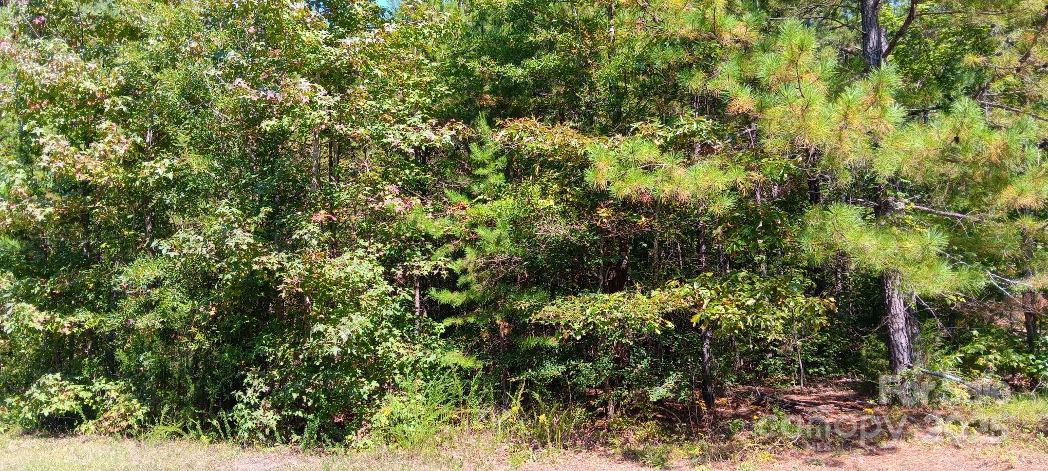 0 First Corriher Street